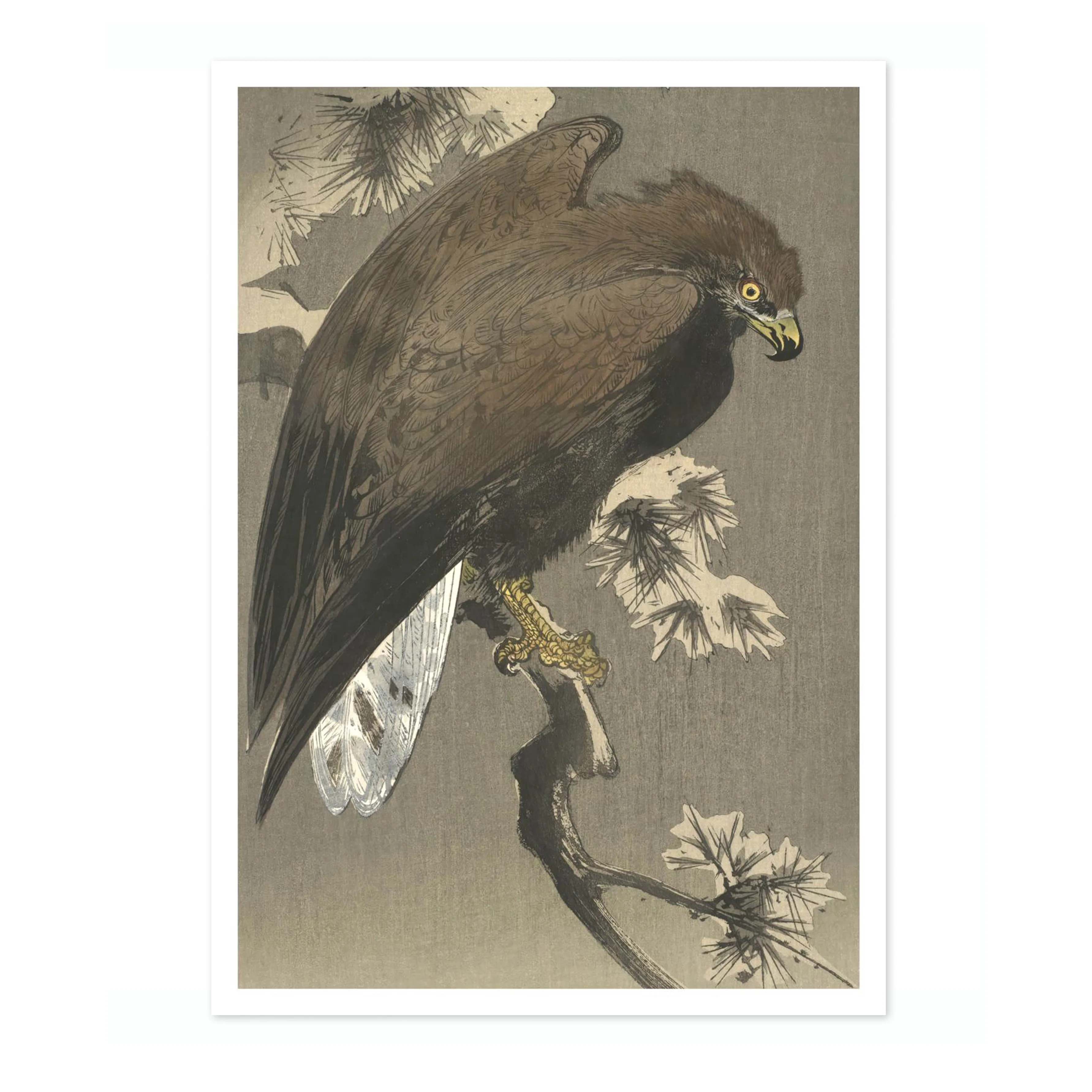 Eagle and Pine - Image 4
