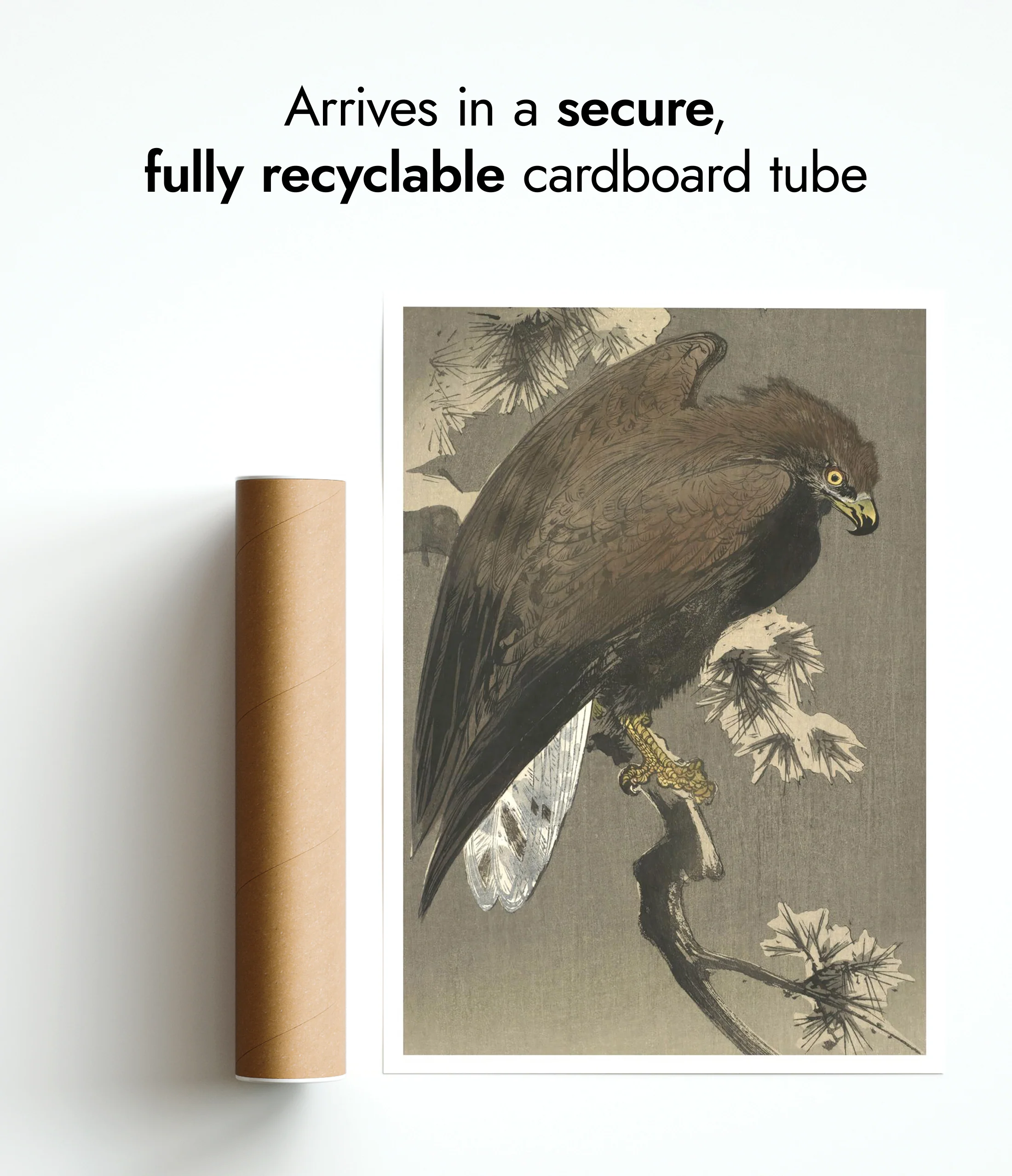 Eagle and Pine - Image 9