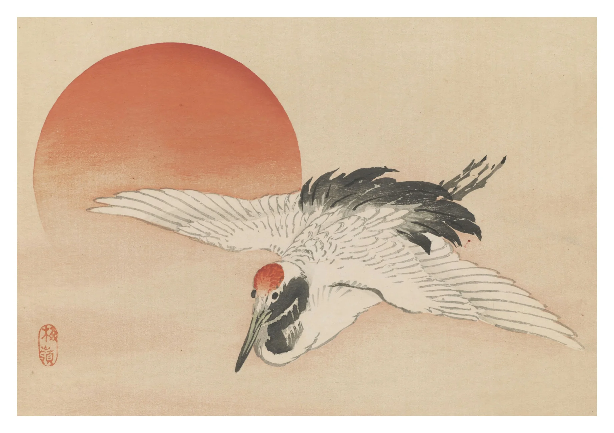 Egret Flying