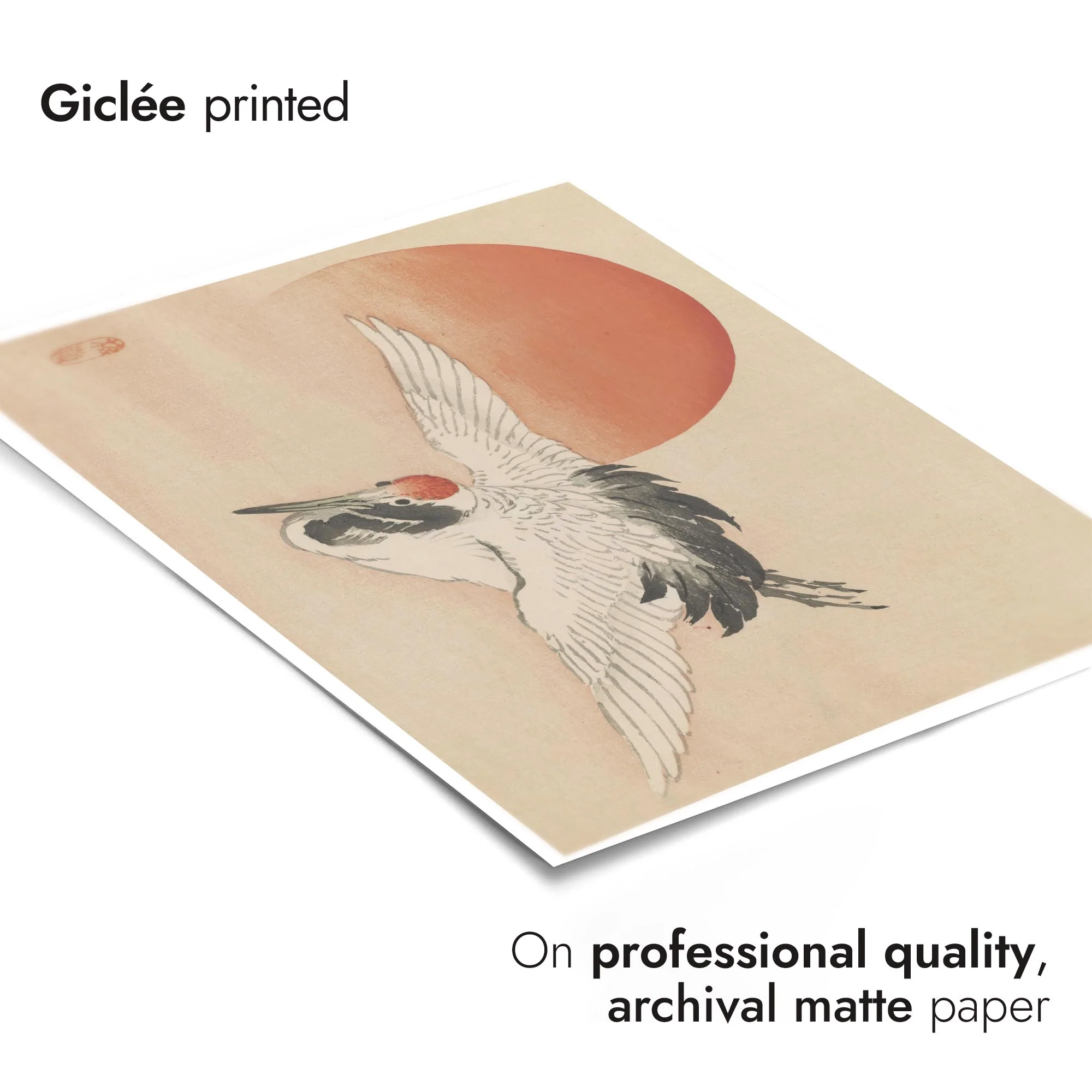 Egret Flying - Image 6