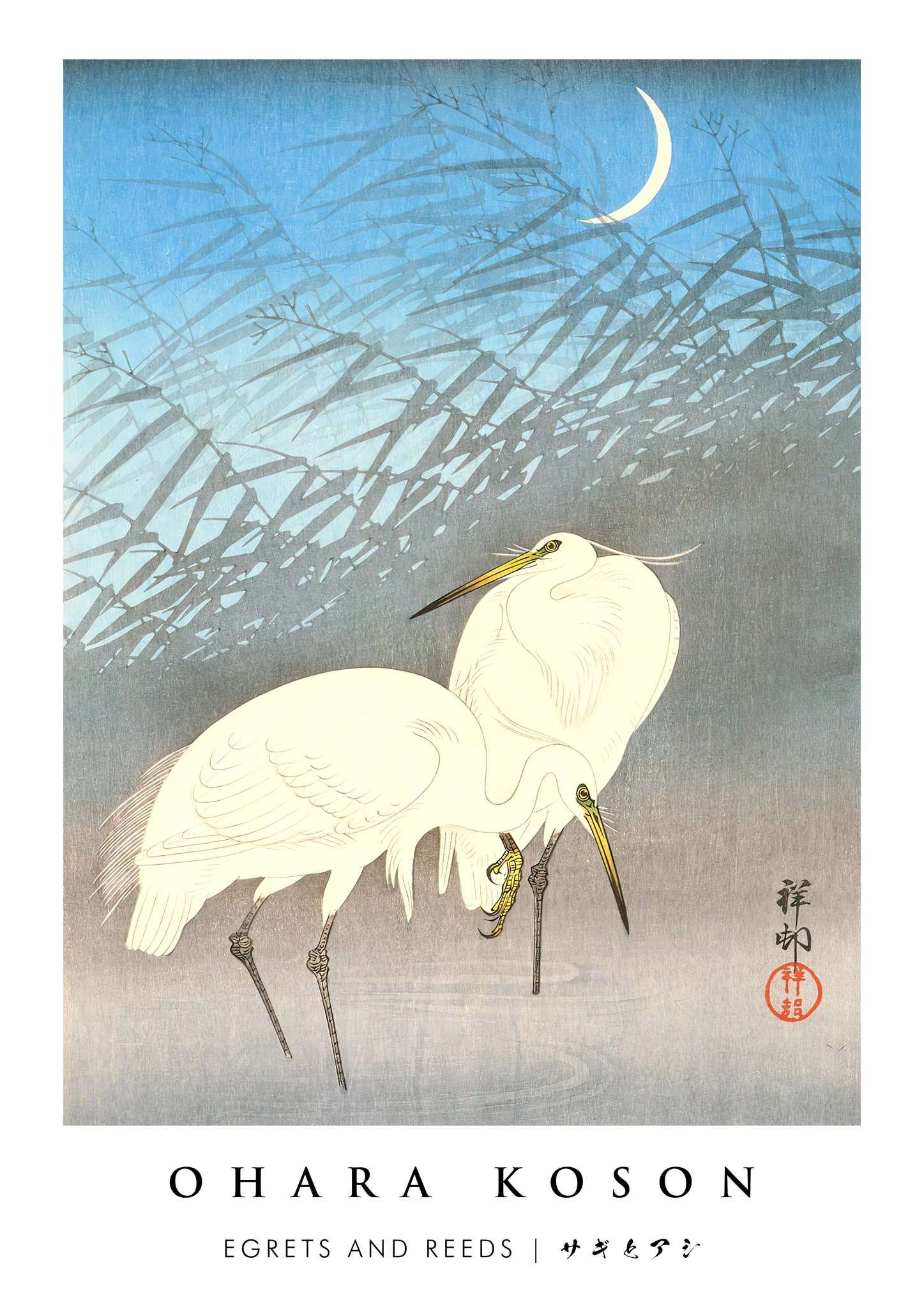 Egrets and Reeds