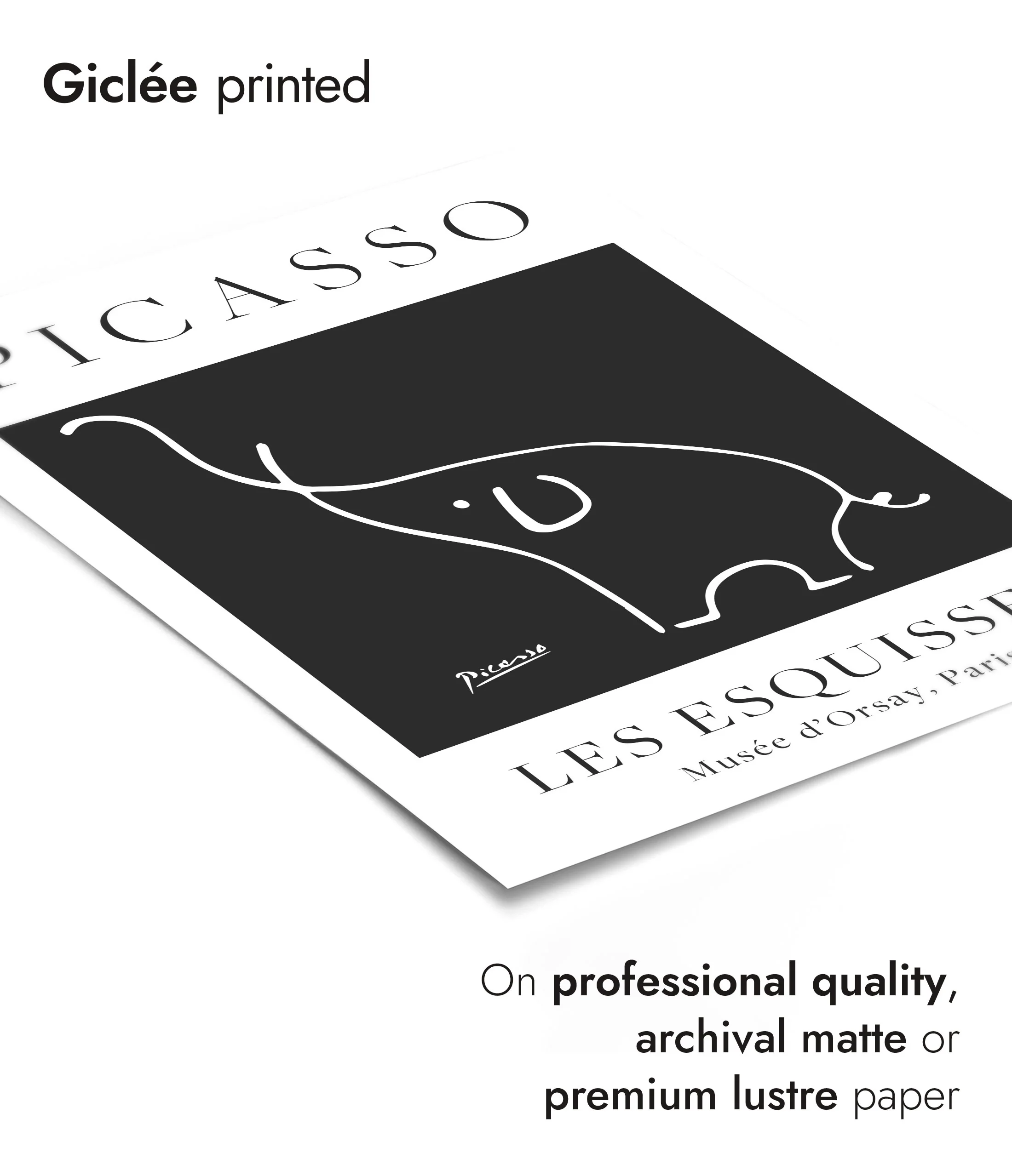 Black Elephant - Image 6