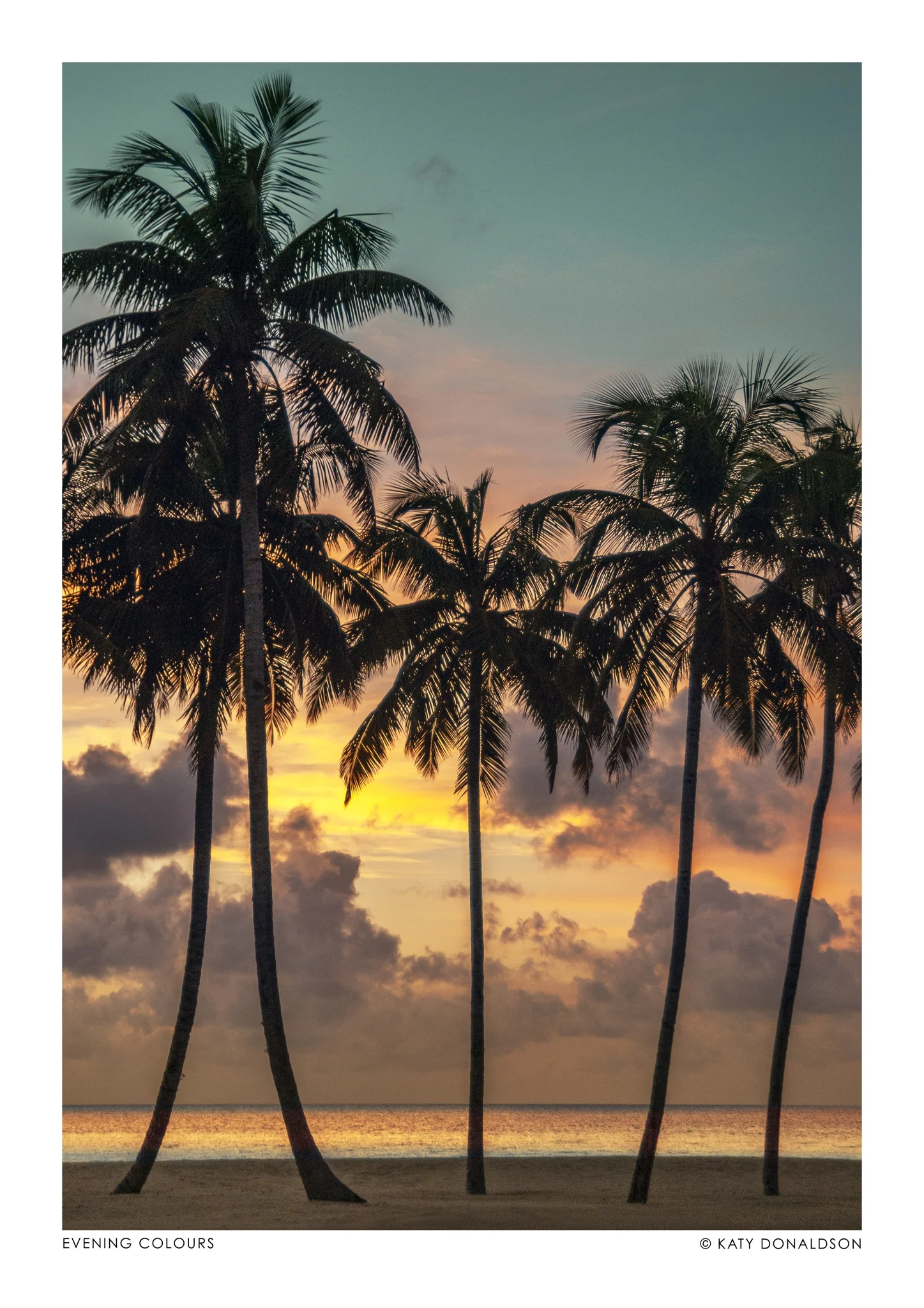 Evening Colours