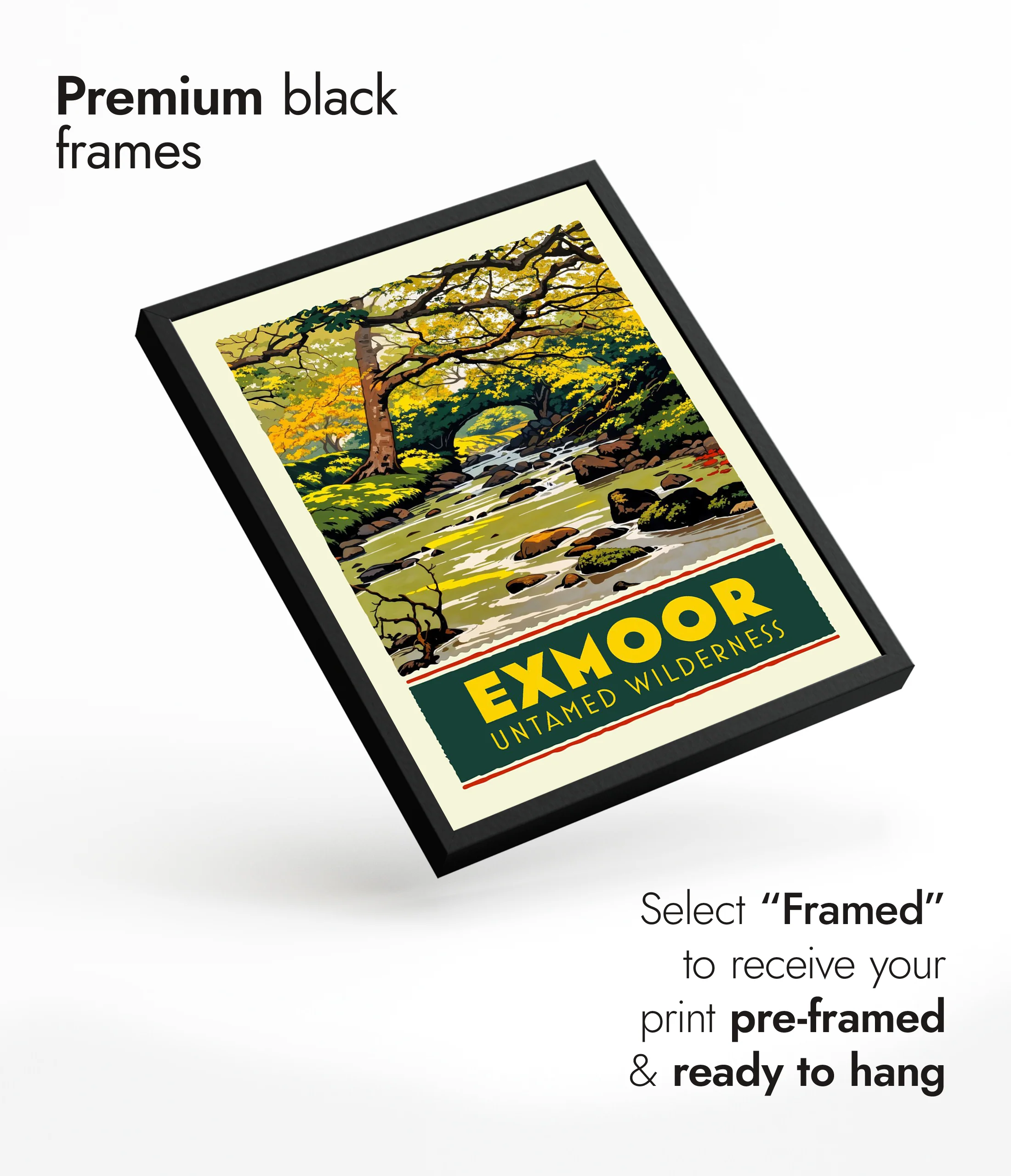 Exmoor, Untamed Wilderness - Image 7