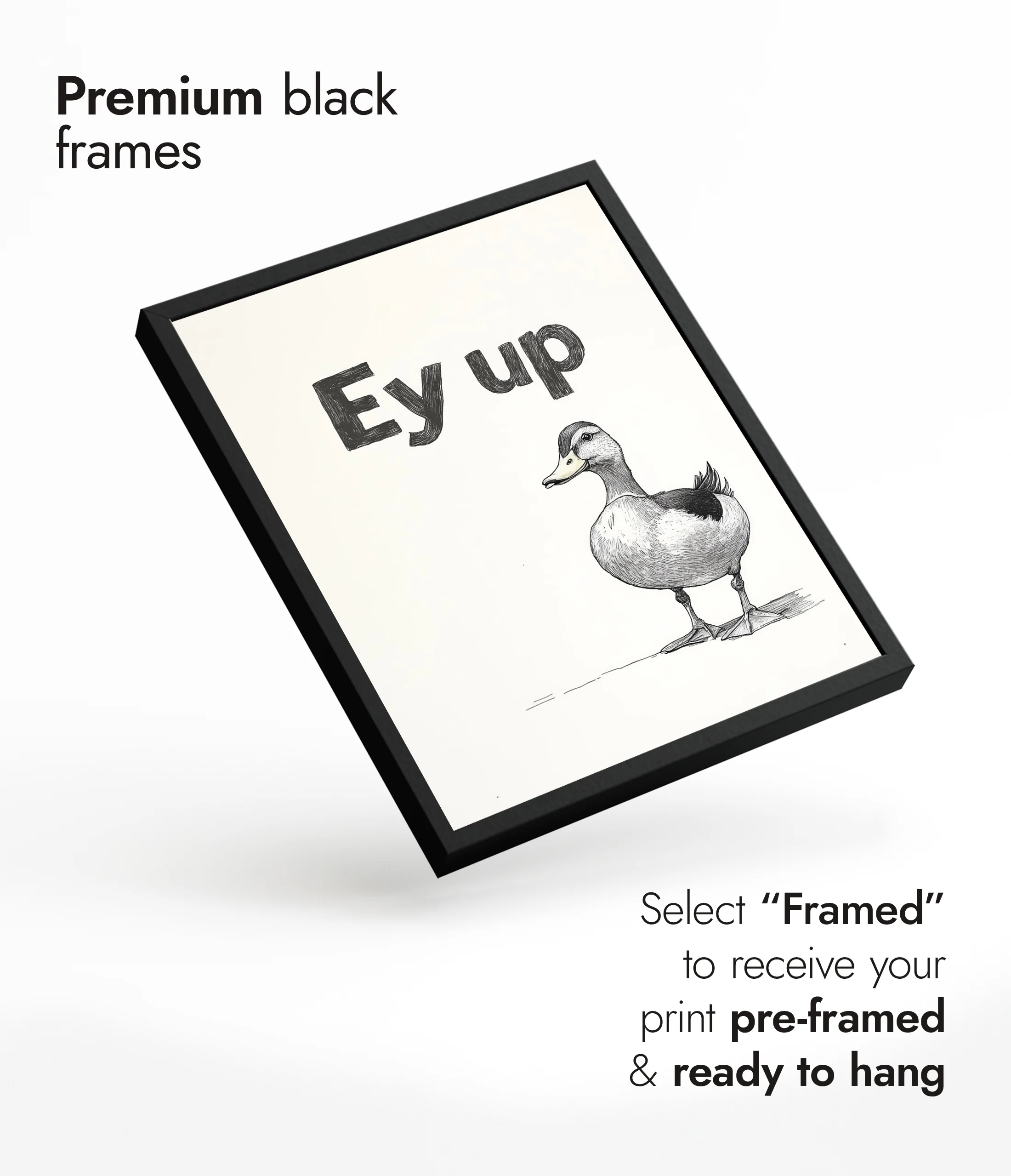 Ey Up Duck - Image 7