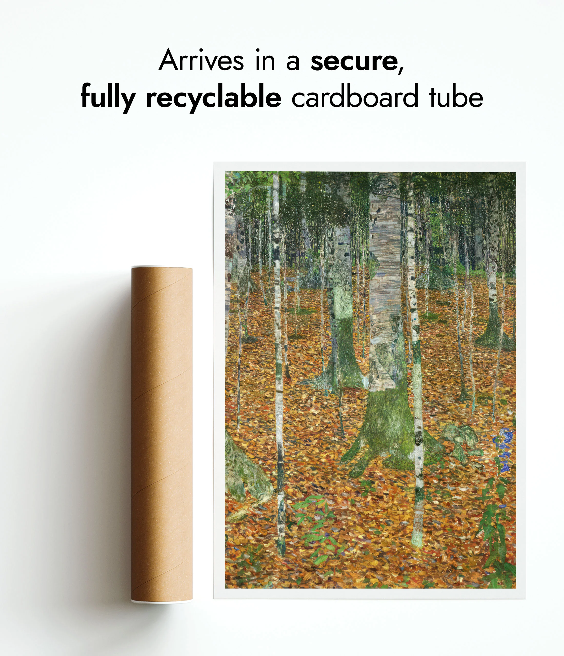 Birch Forest - Image 9