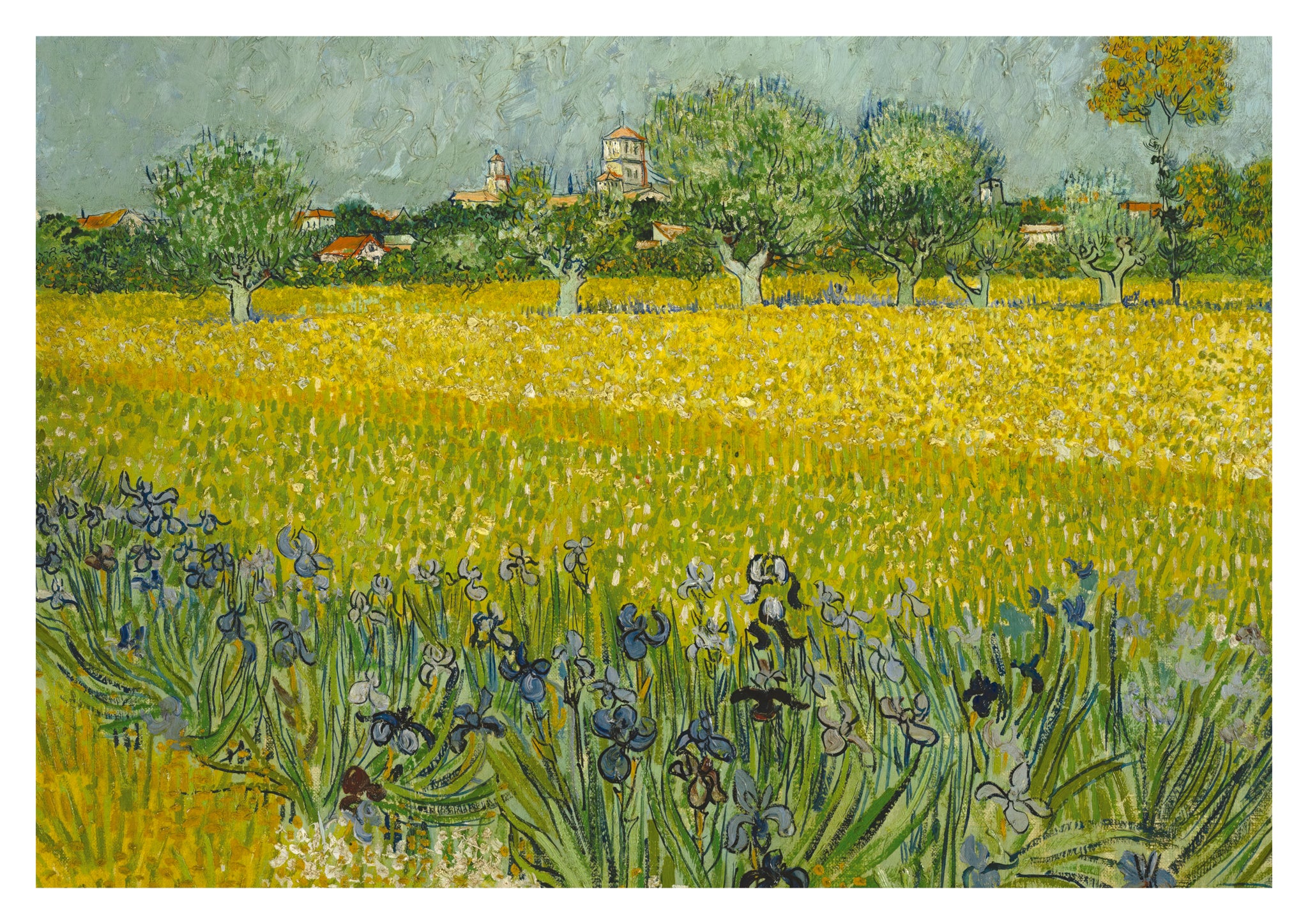 Field with Flowers near Arles