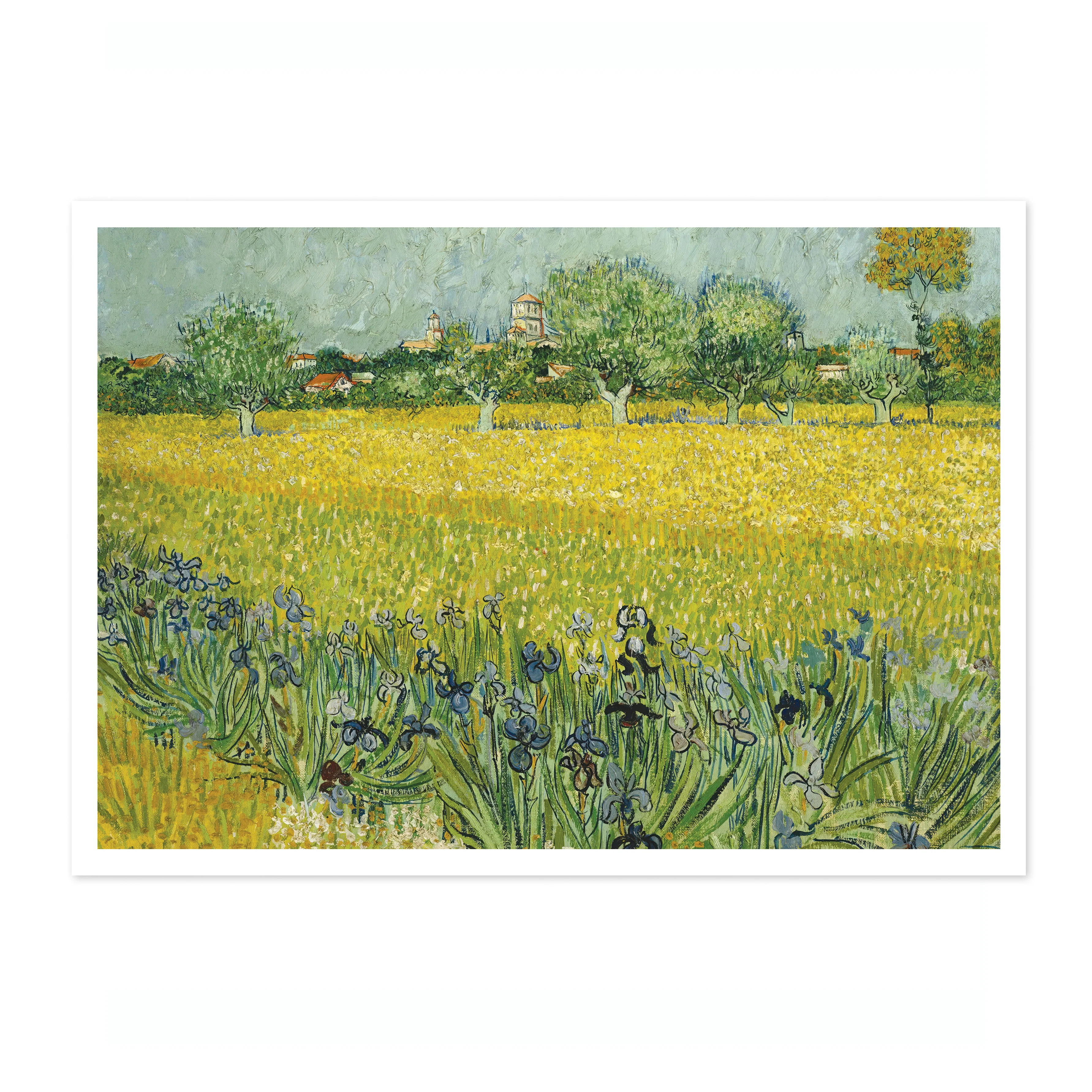 Field with Flowers near Arles - Image 4