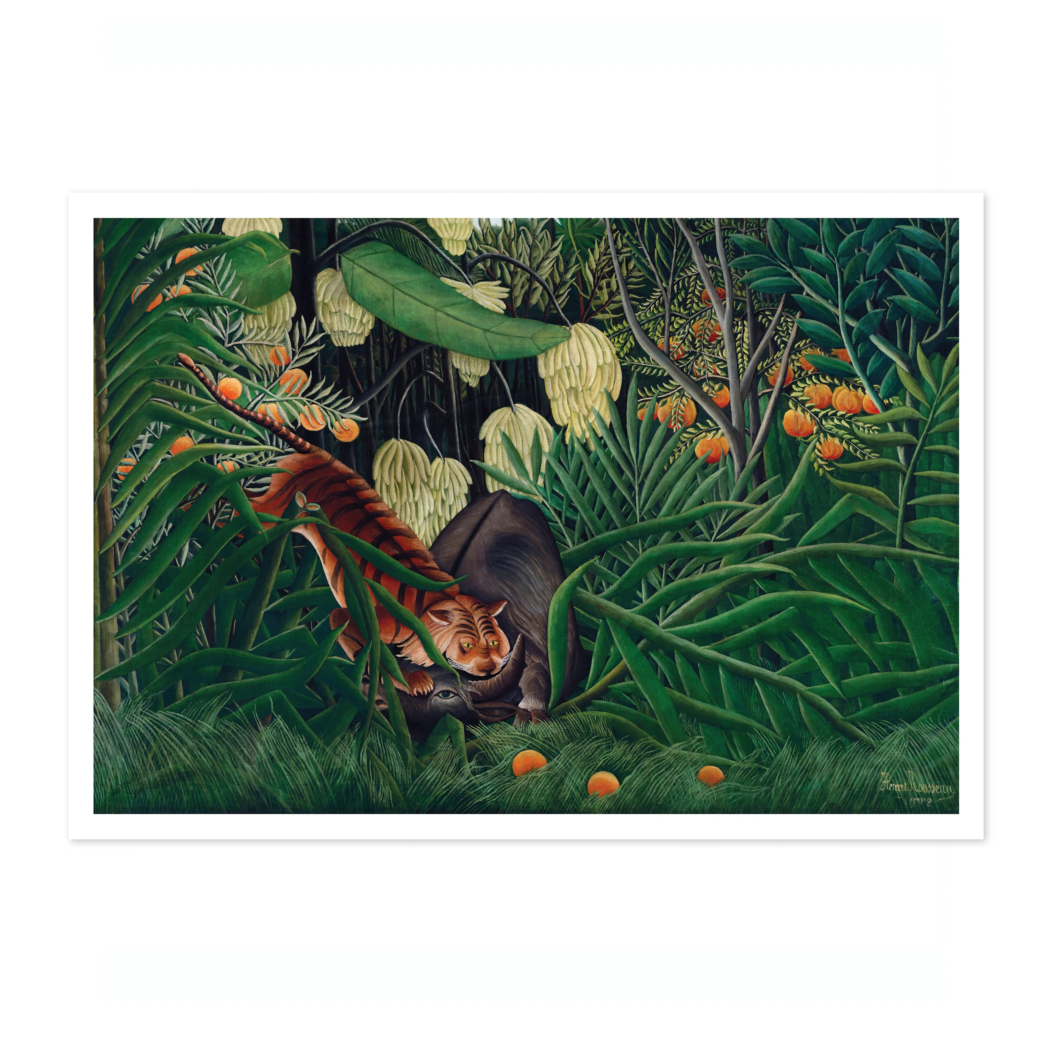 Fight Between a Tiger and a Buffalo - Image 4