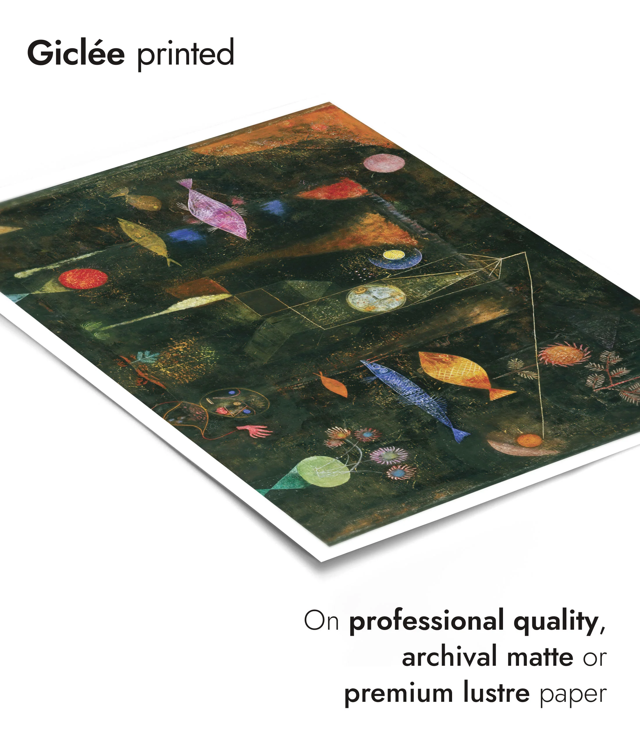 Fish Magic - Image 6
