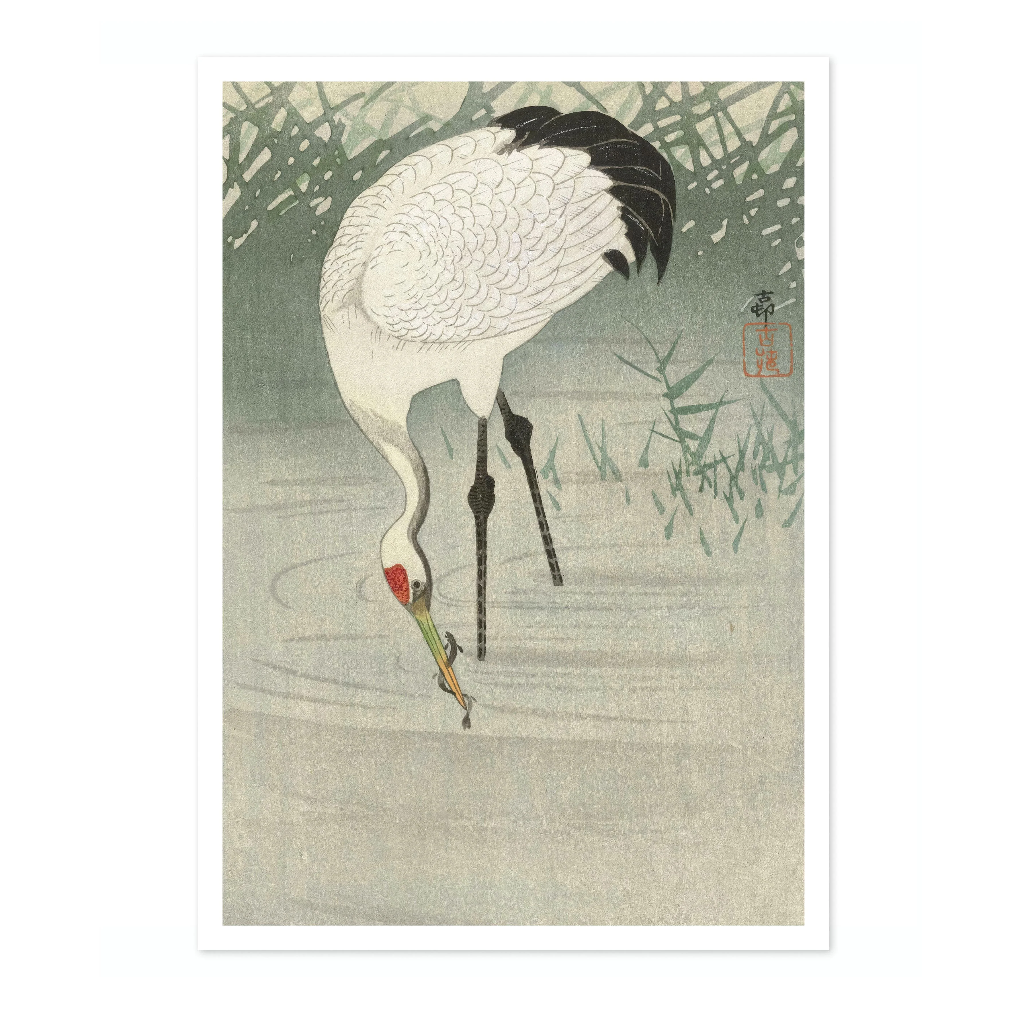 Fishing Crane in Shallow Water - Image 4