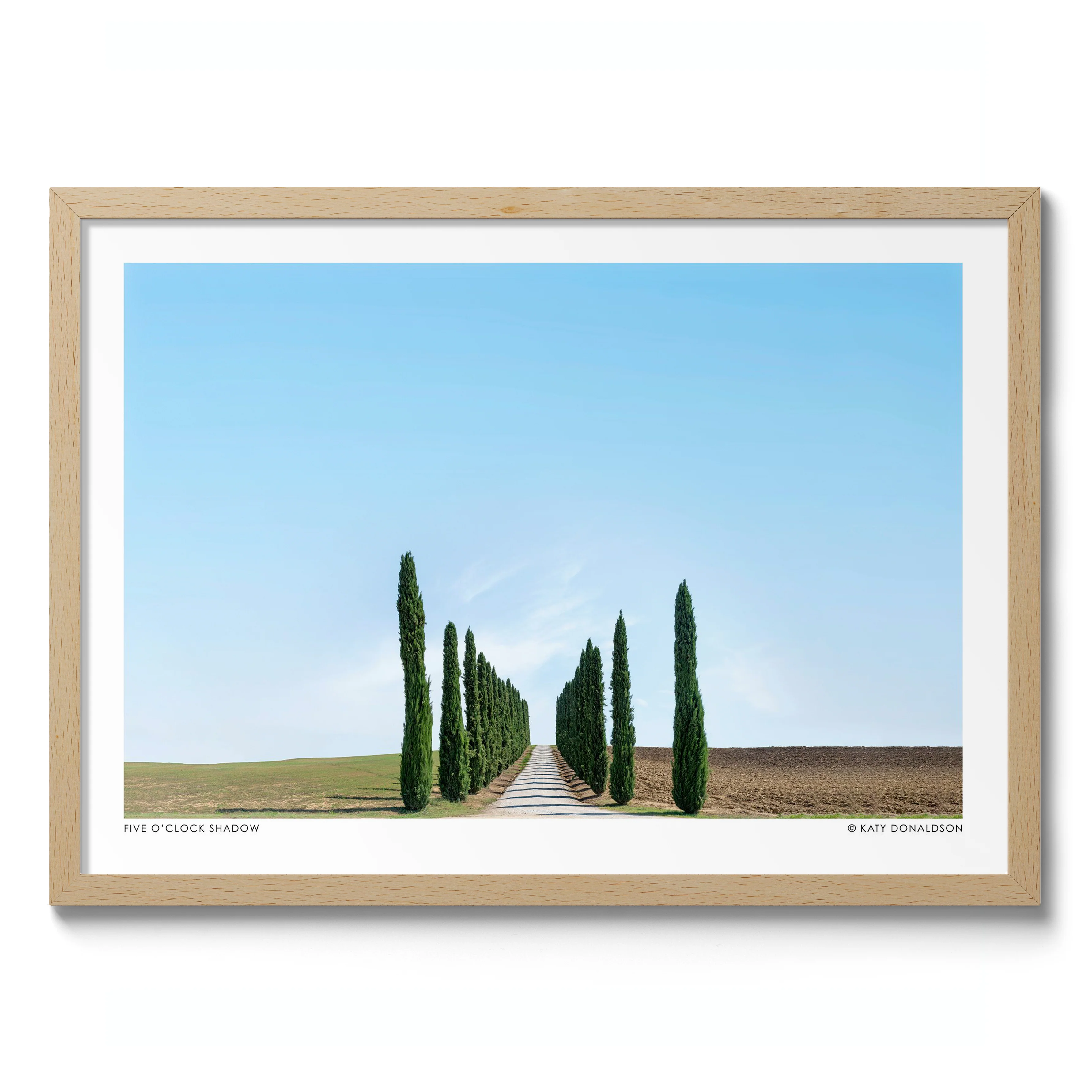Five O'Clock Shadow Landscape - Image 3