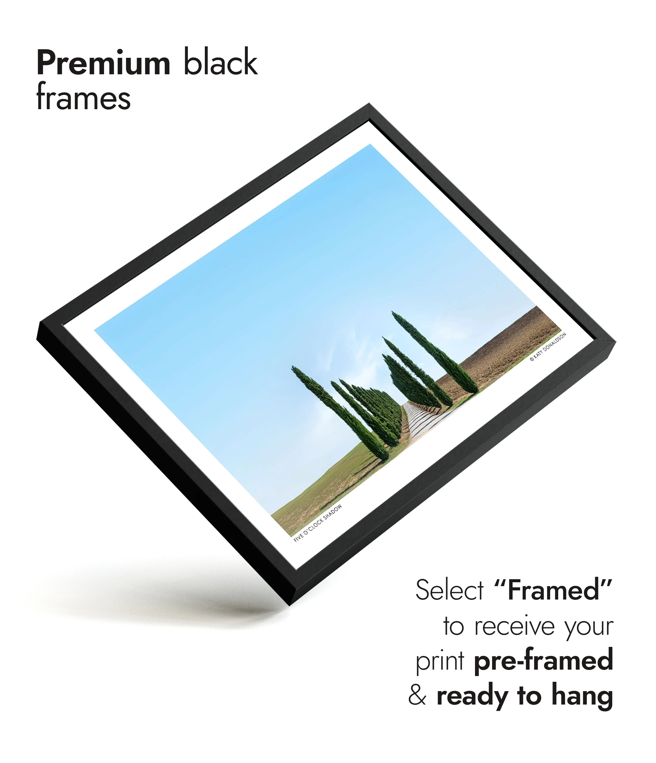 Five O'Clock Shadow Landscape - Image 7