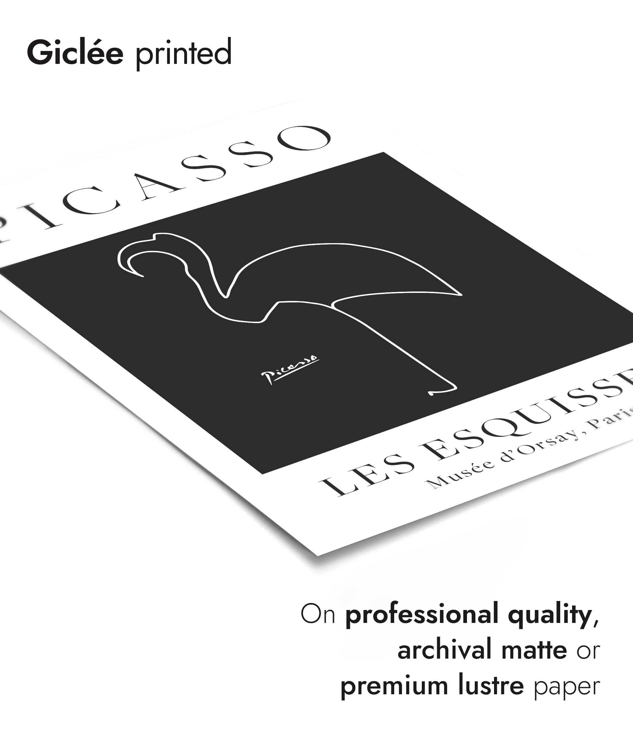 Black Flamingo - Image 6