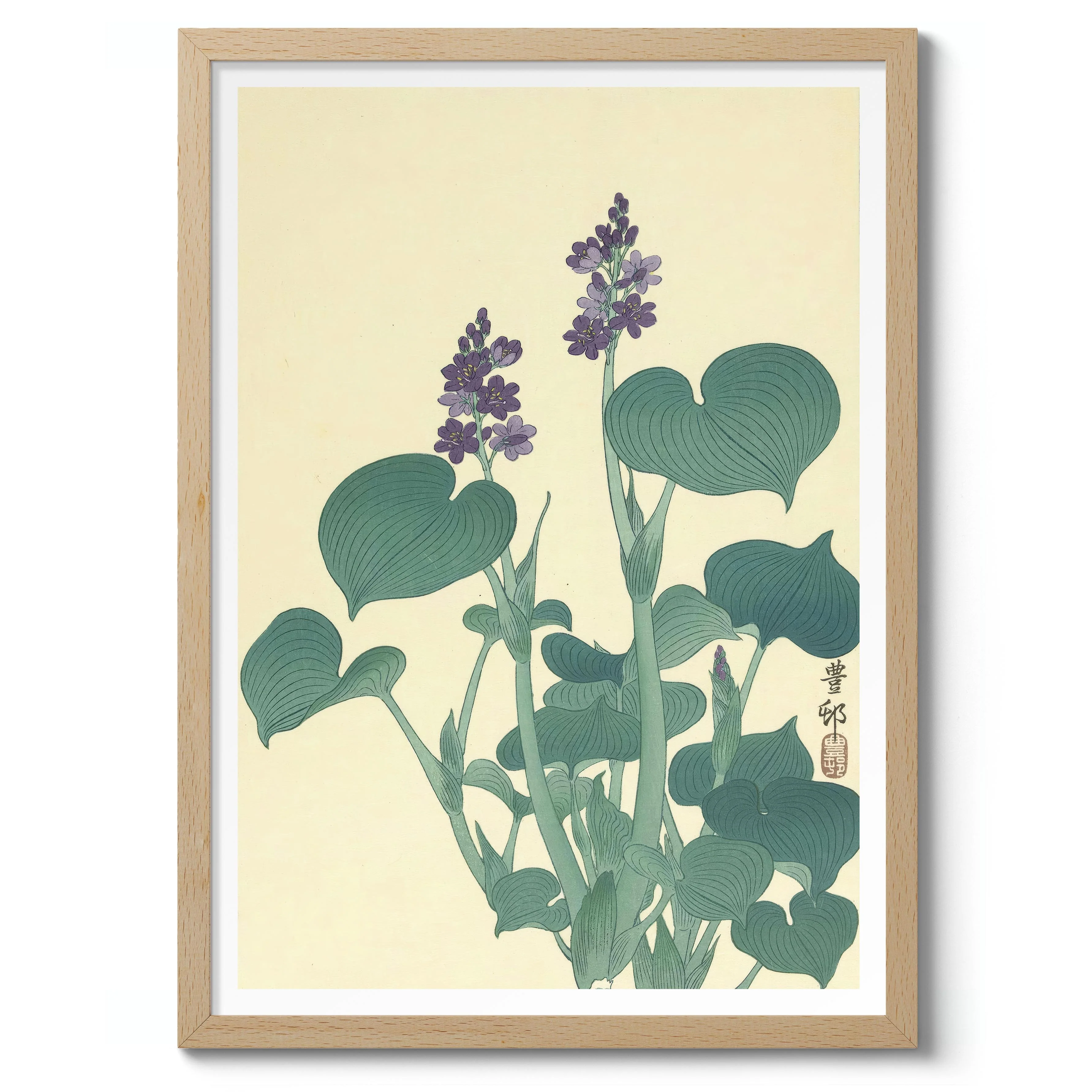 Flowering Hosta - Image 3