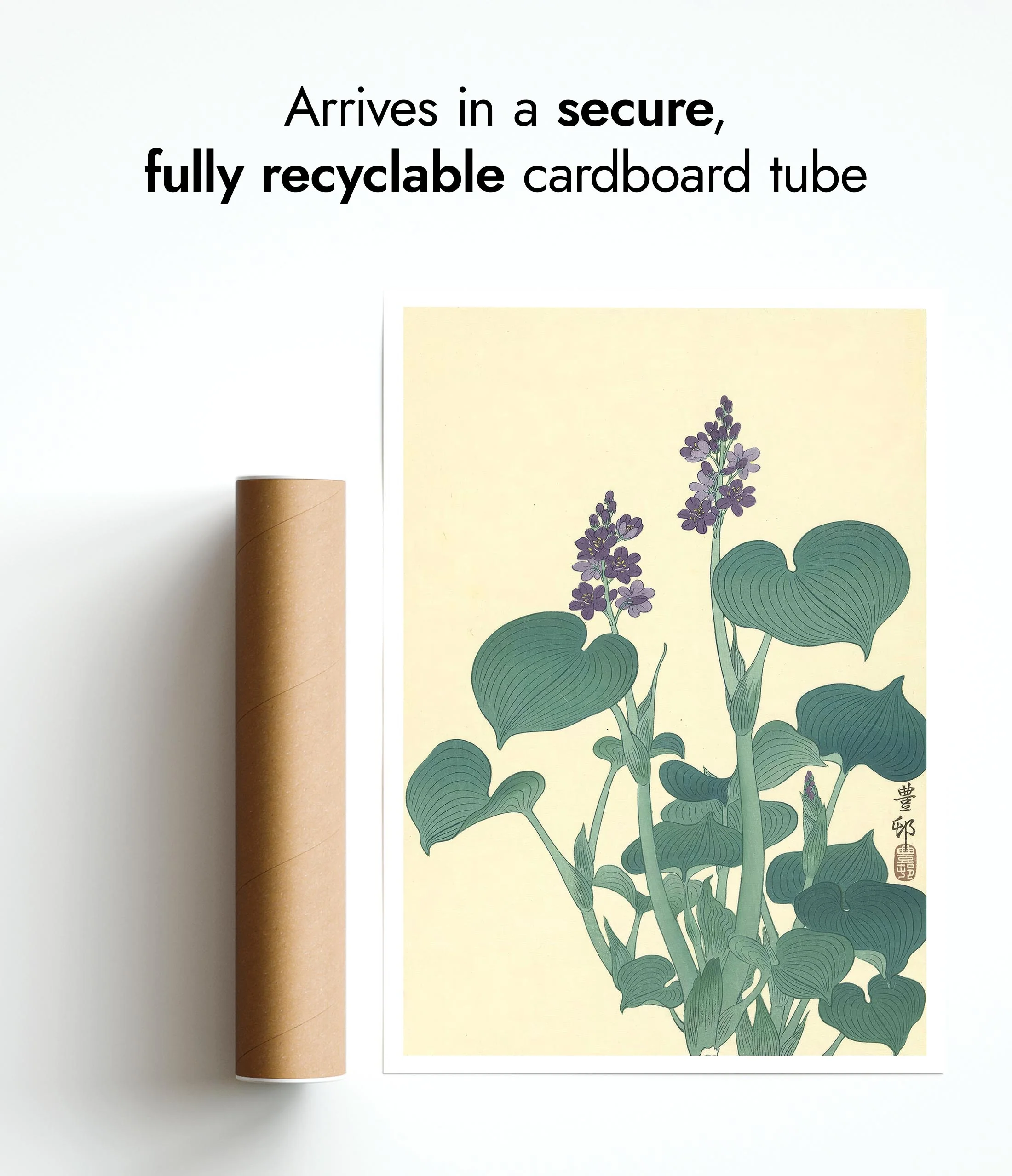 Flowering Hosta - Image 9
