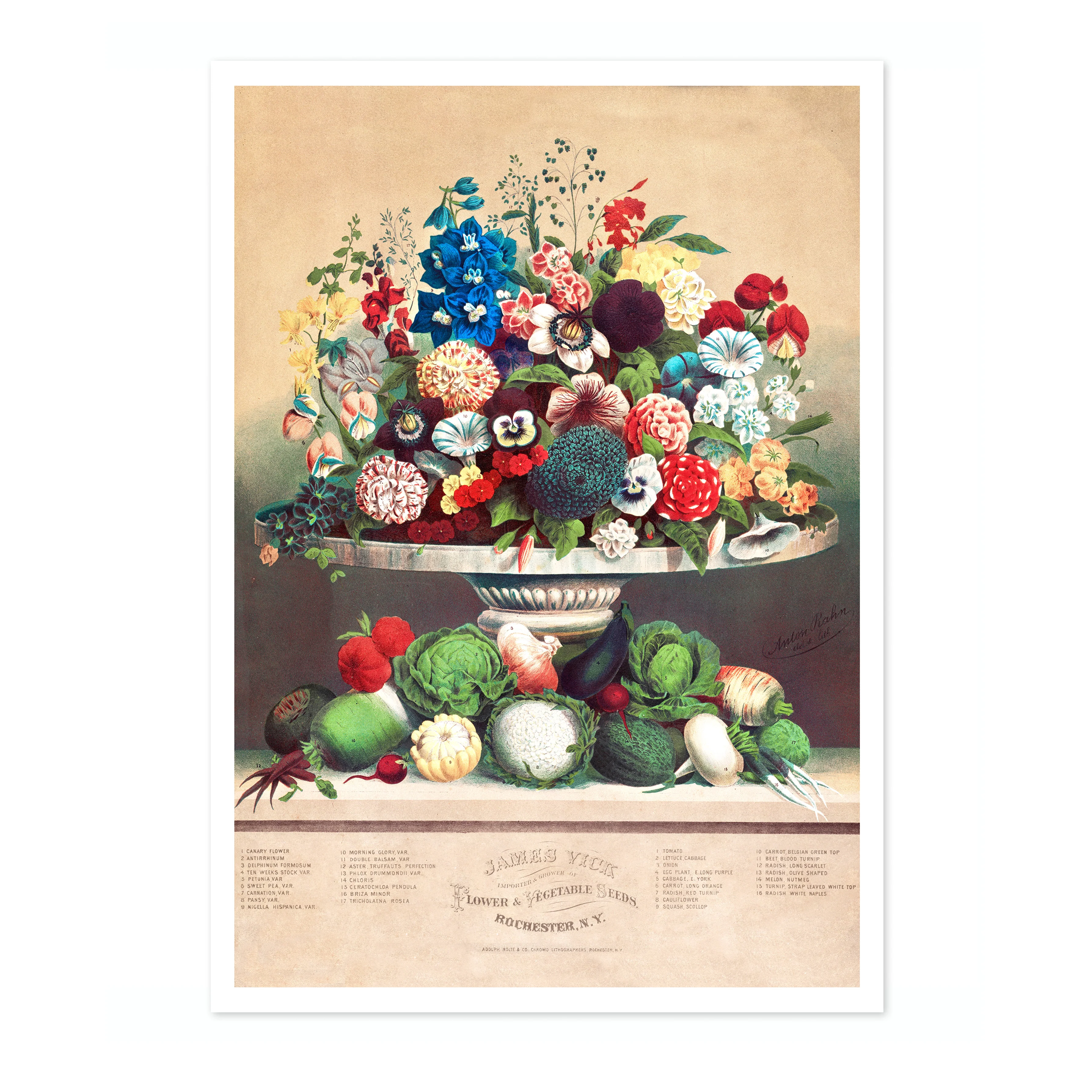 Flowers & Vegetables - Image 4