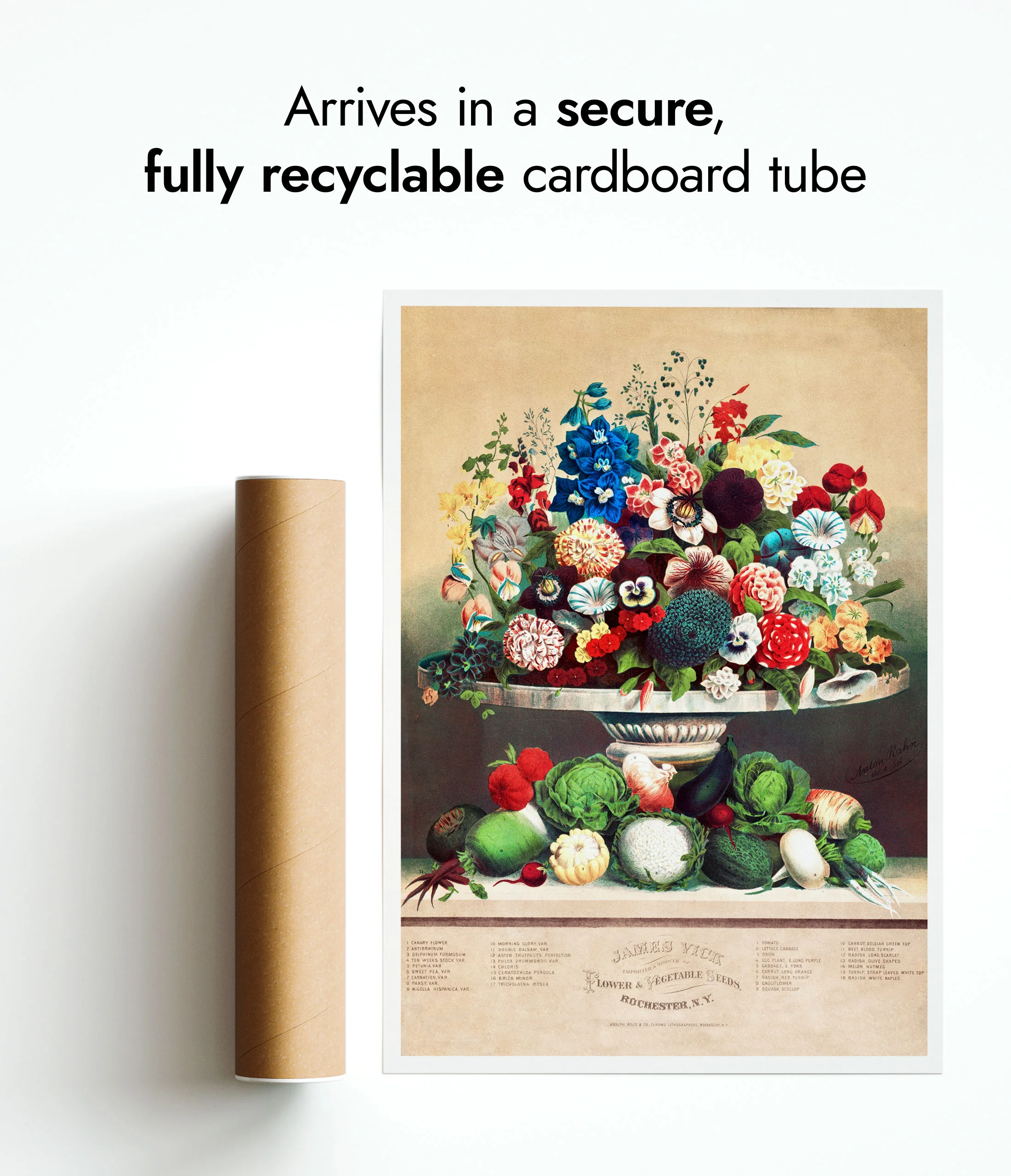 Flowers & Vegetables - Image 9