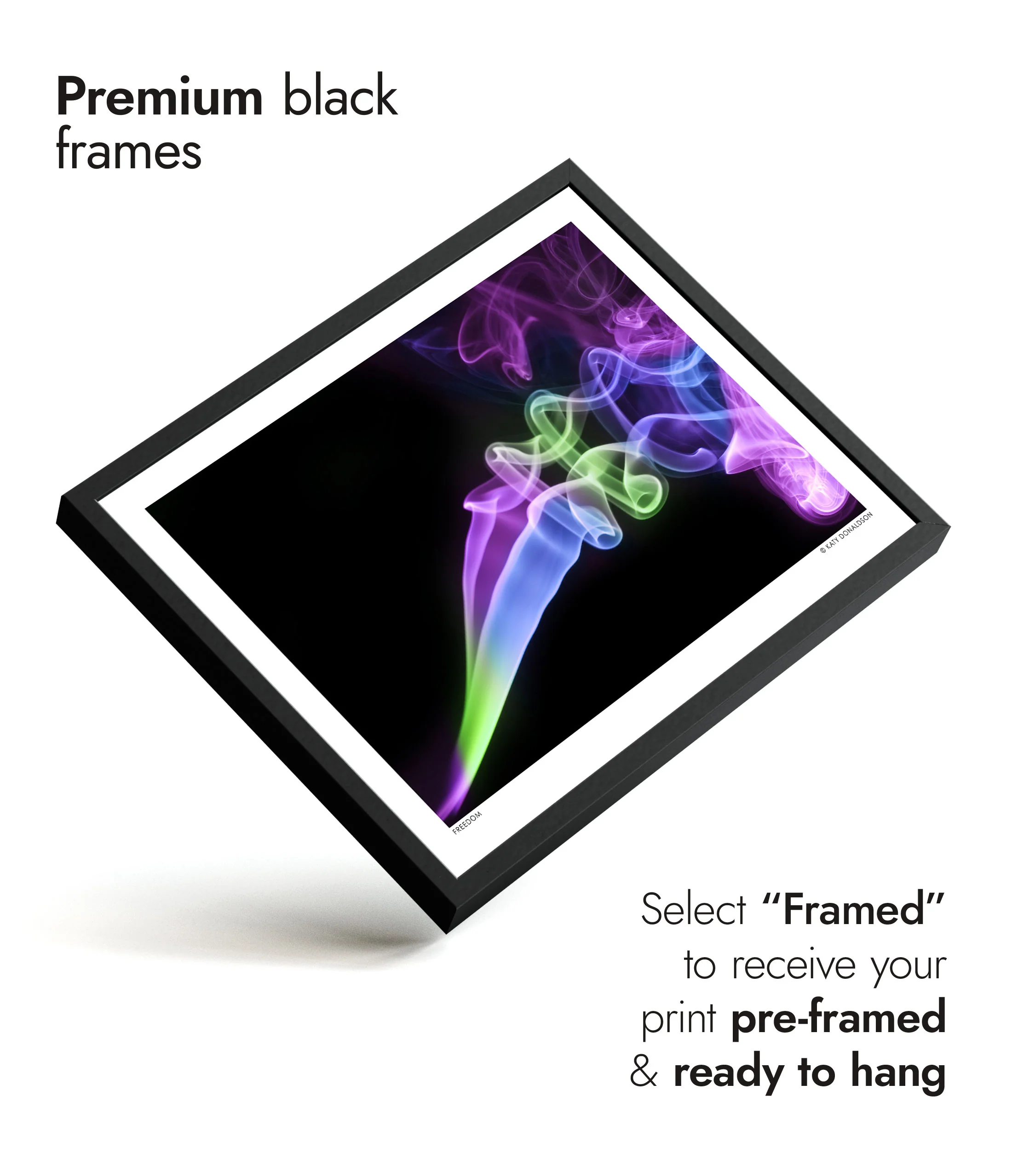 Freedom - Image 7