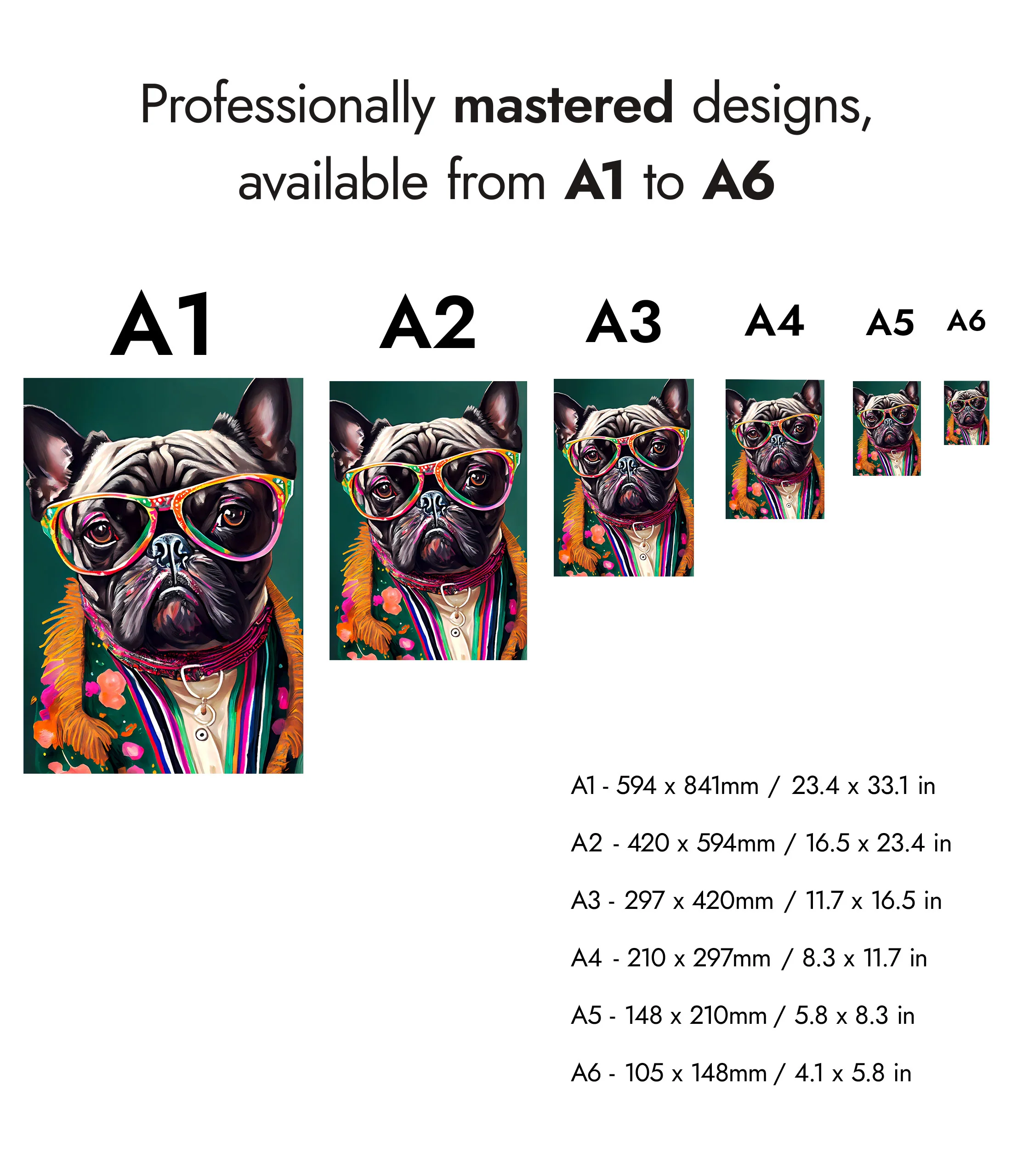 French Bulldog - Image 8