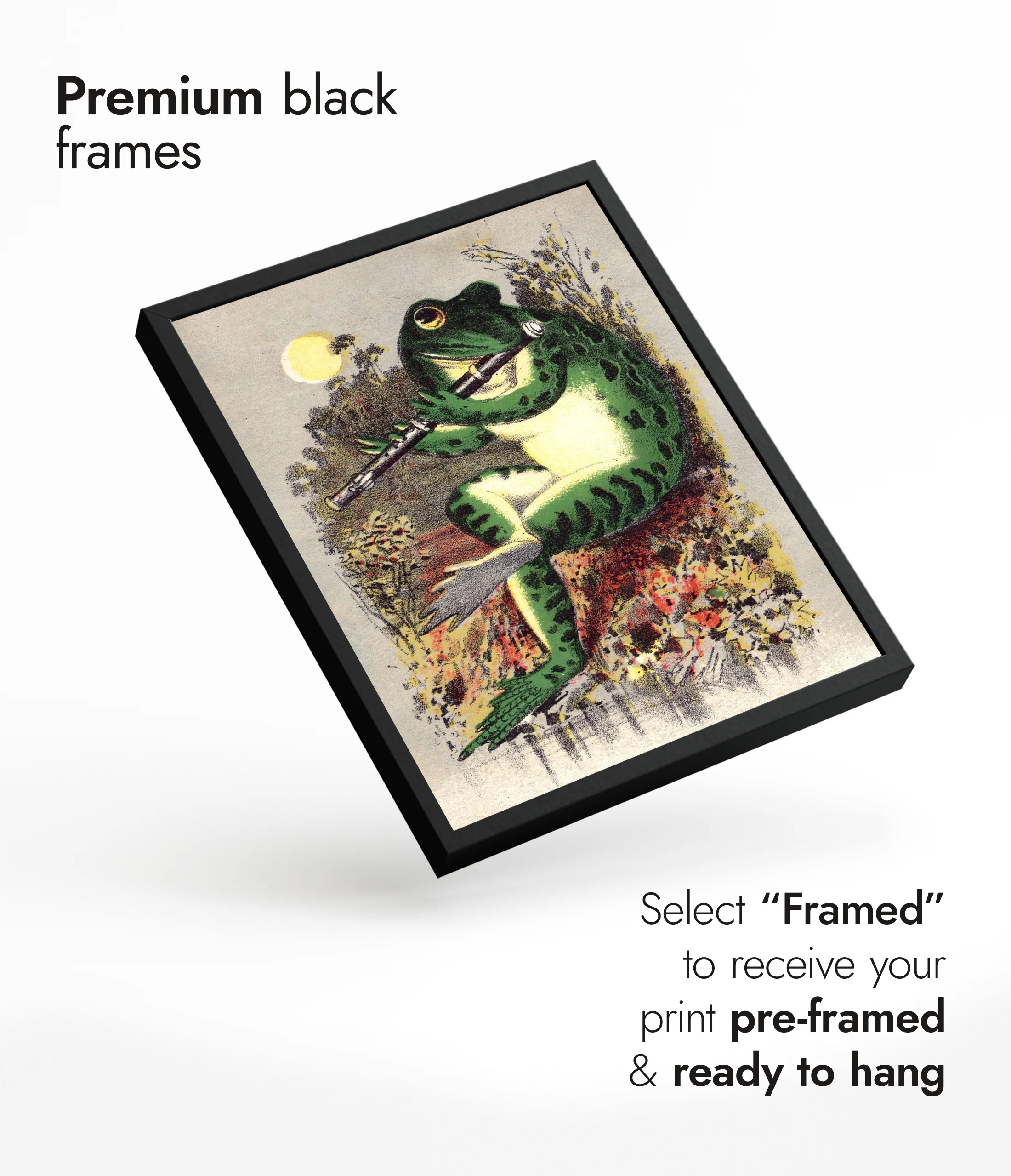 Frog Playing Flute - Image 7