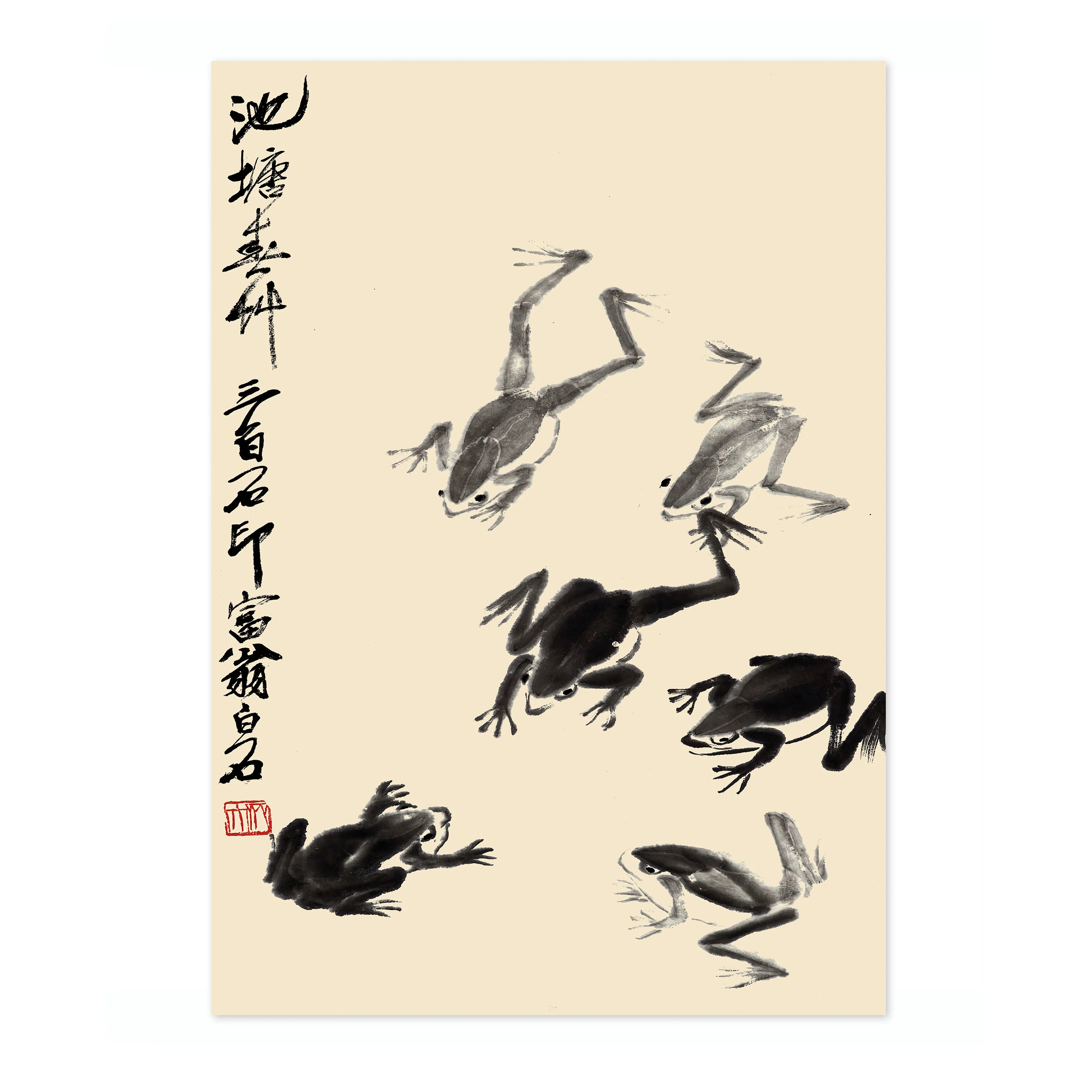 Frogs - Image 4