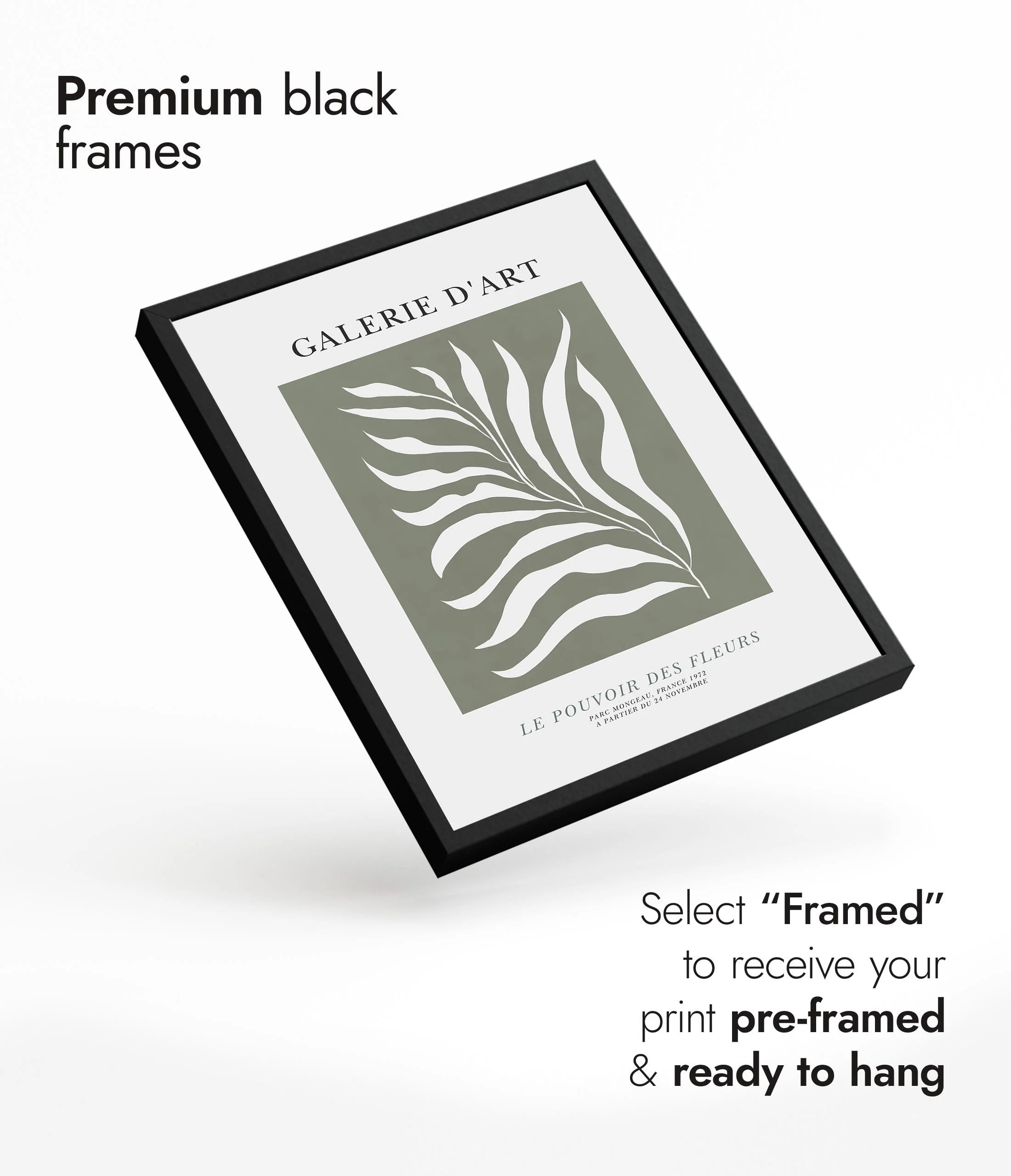 Frond Silhouette - Image 7