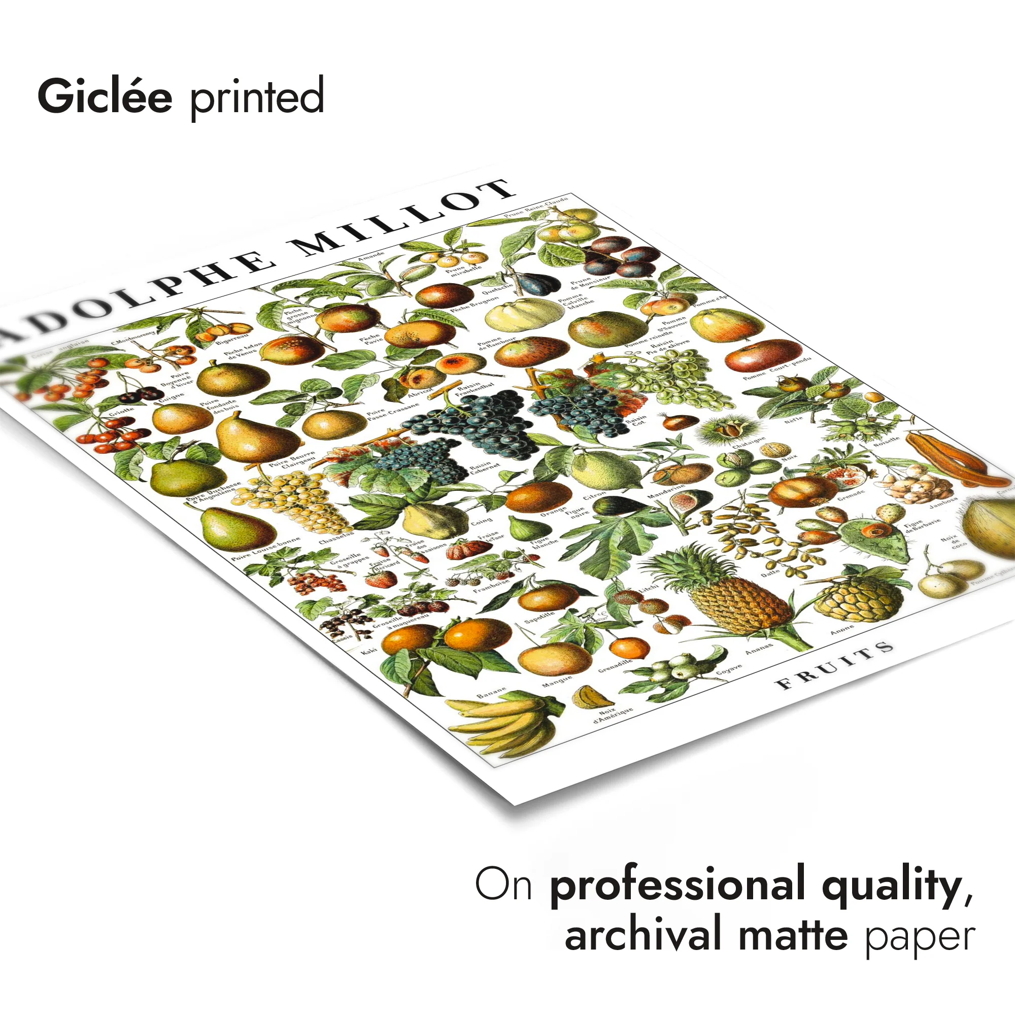 Fruits - Image 6