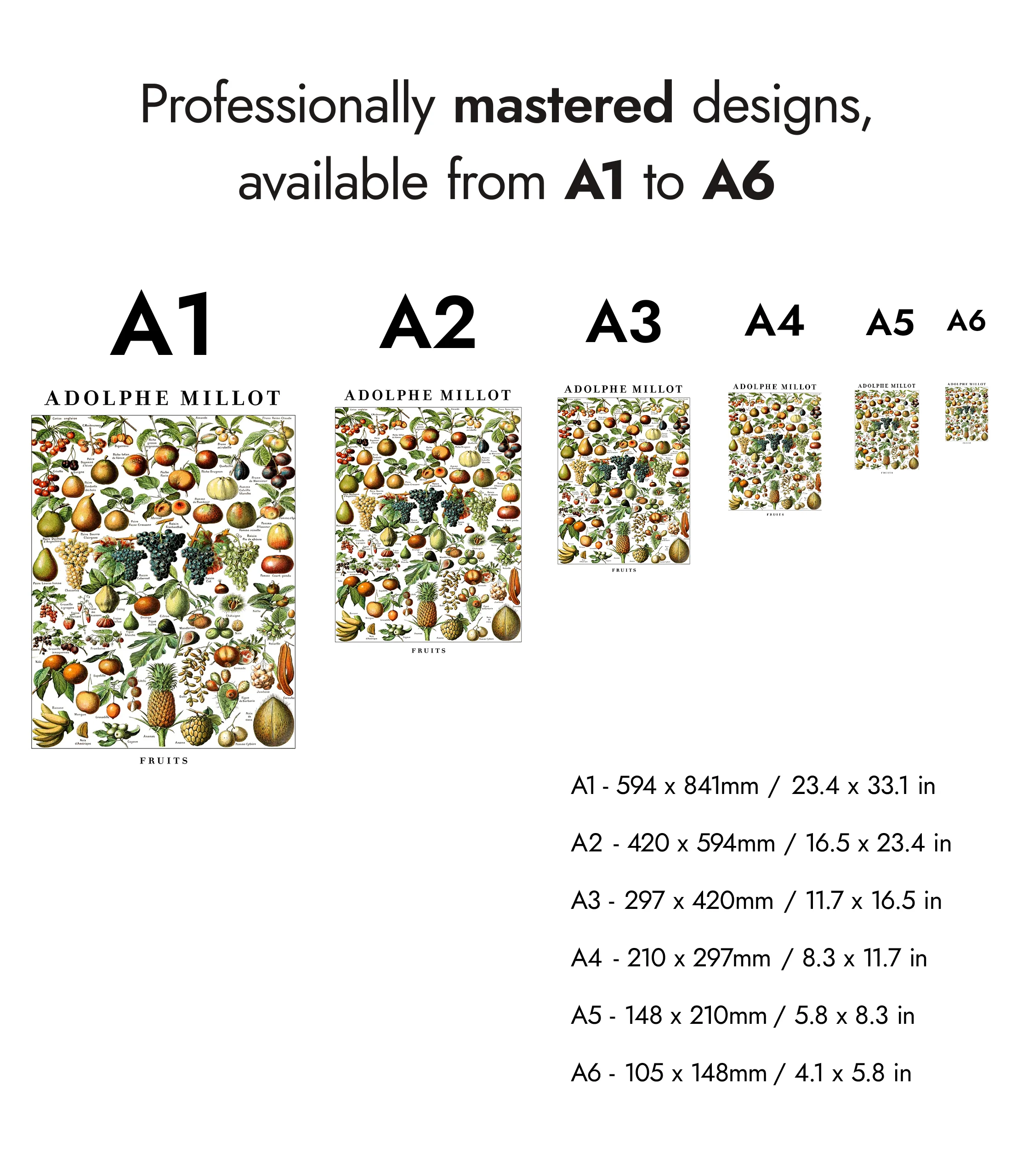 Fruits - Image 8