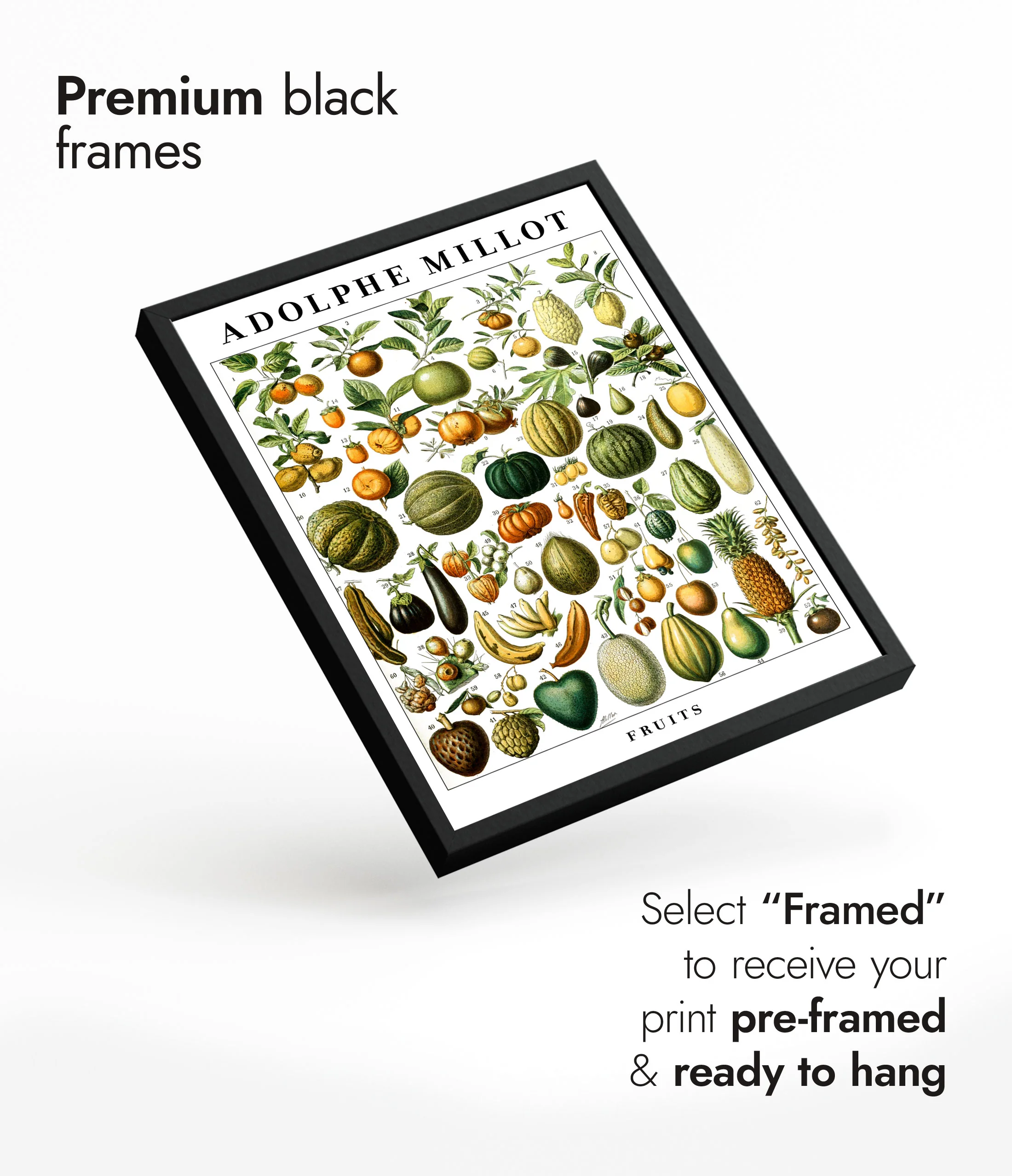 Fruits - Image 7