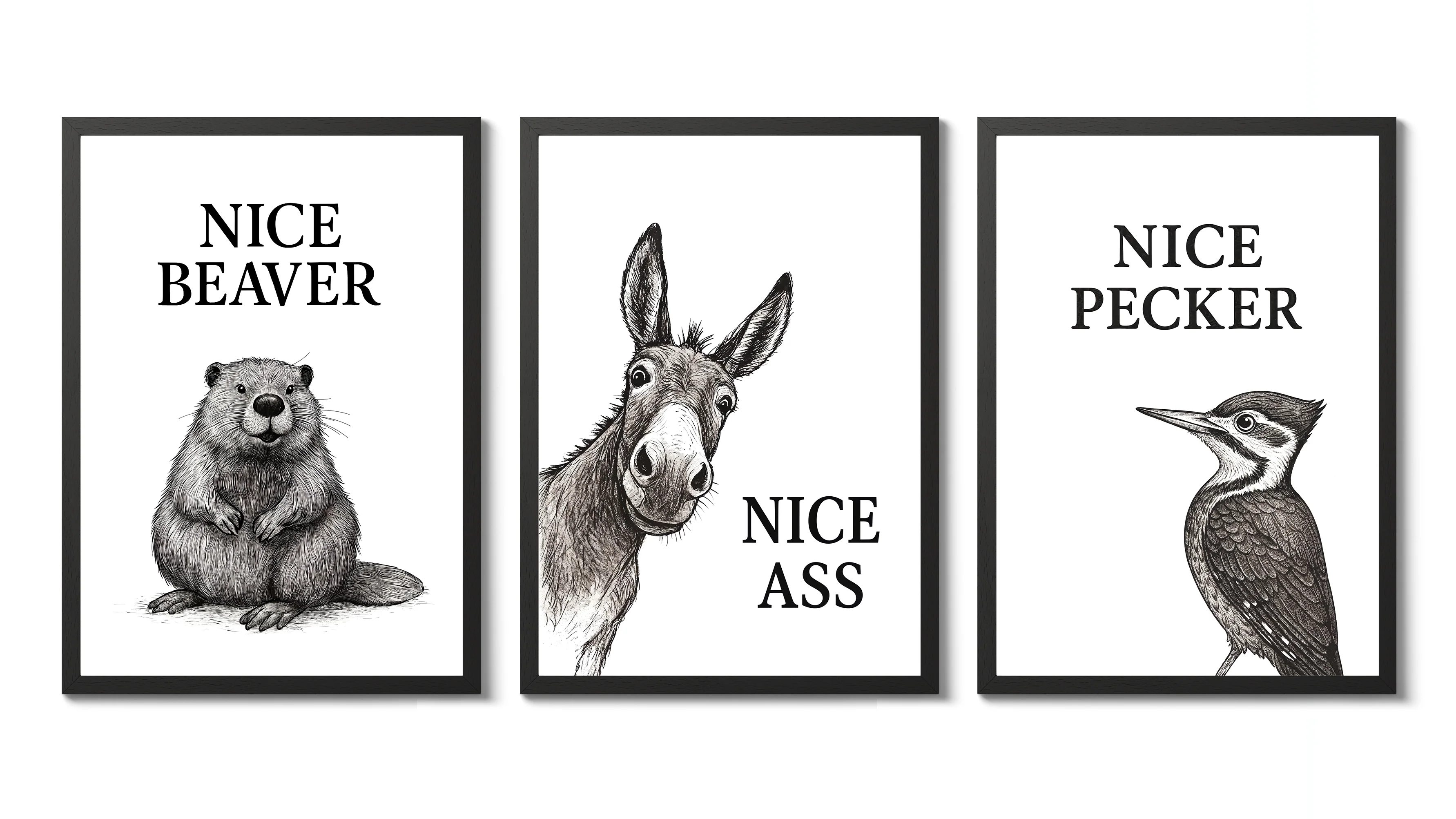 Funny Animals Collection