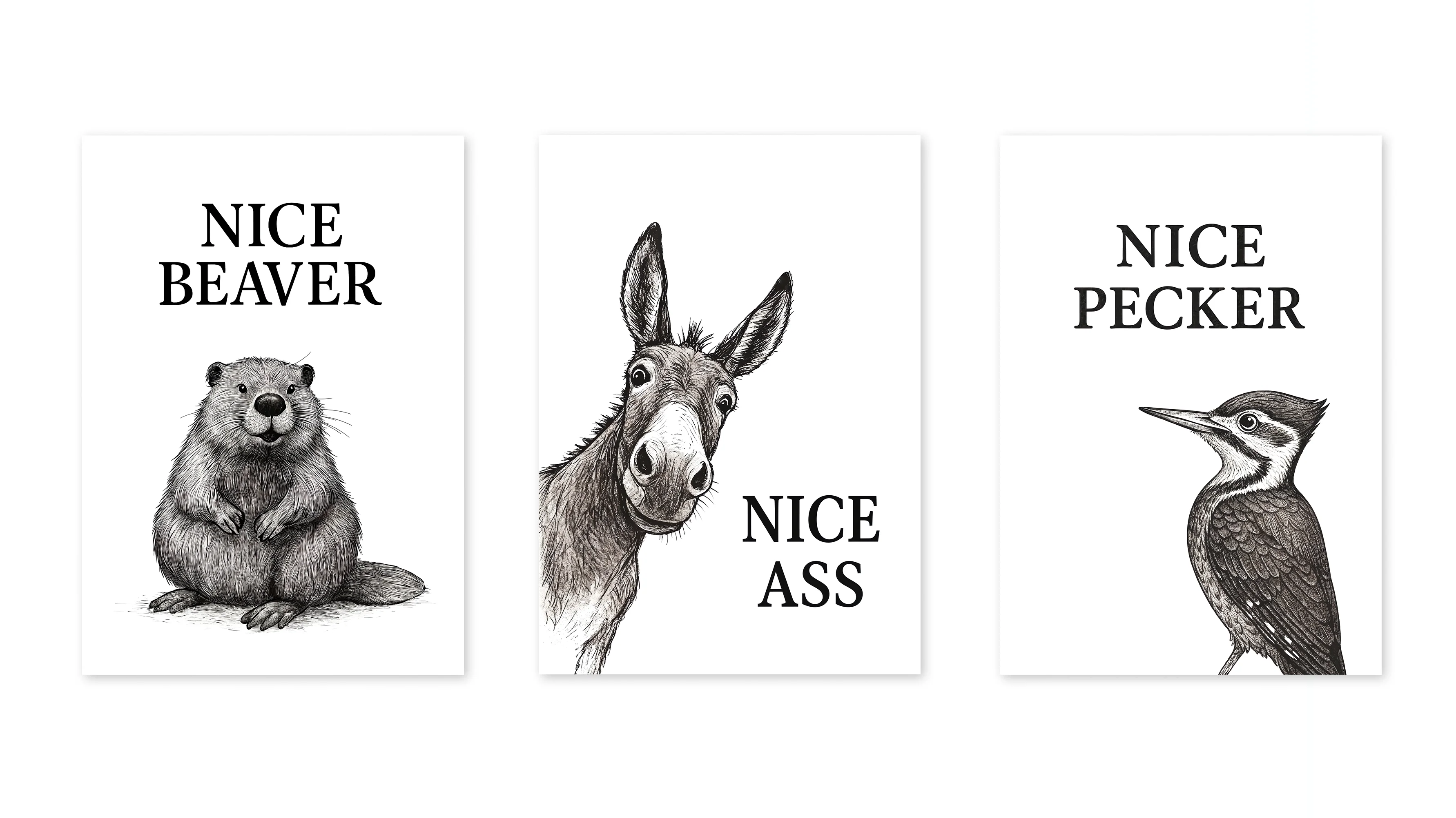Funny Animals Collection - Image 3