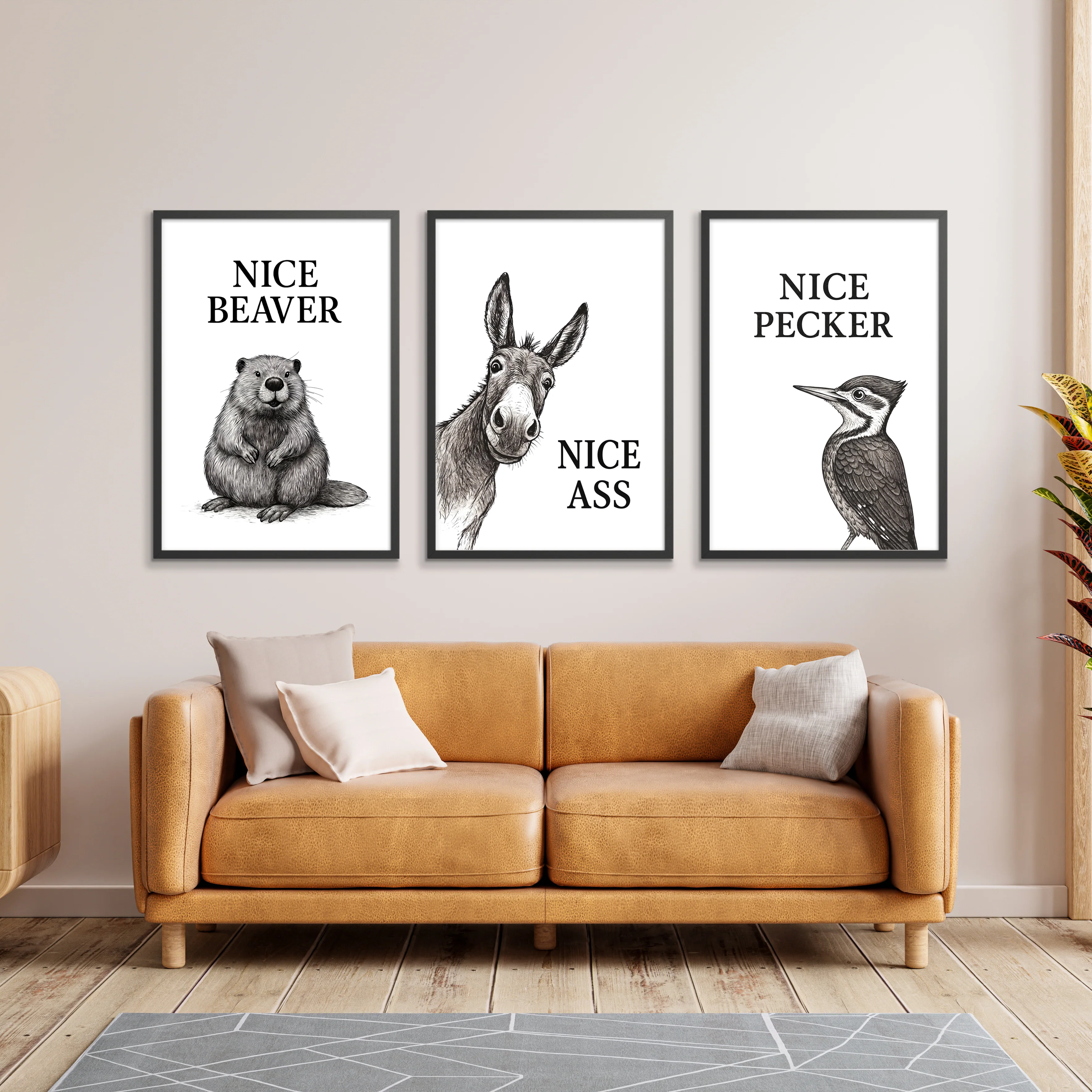 Funny Animals Collection - Image 4