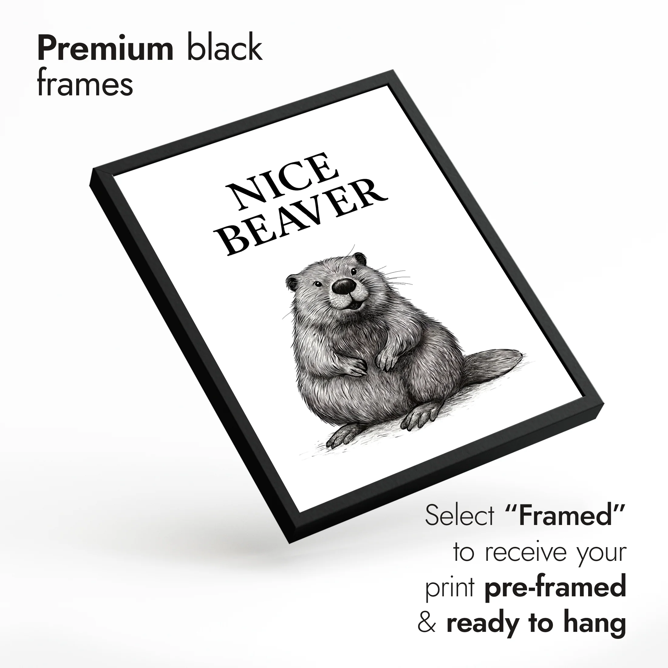 Funny Animals Collection - Image 6