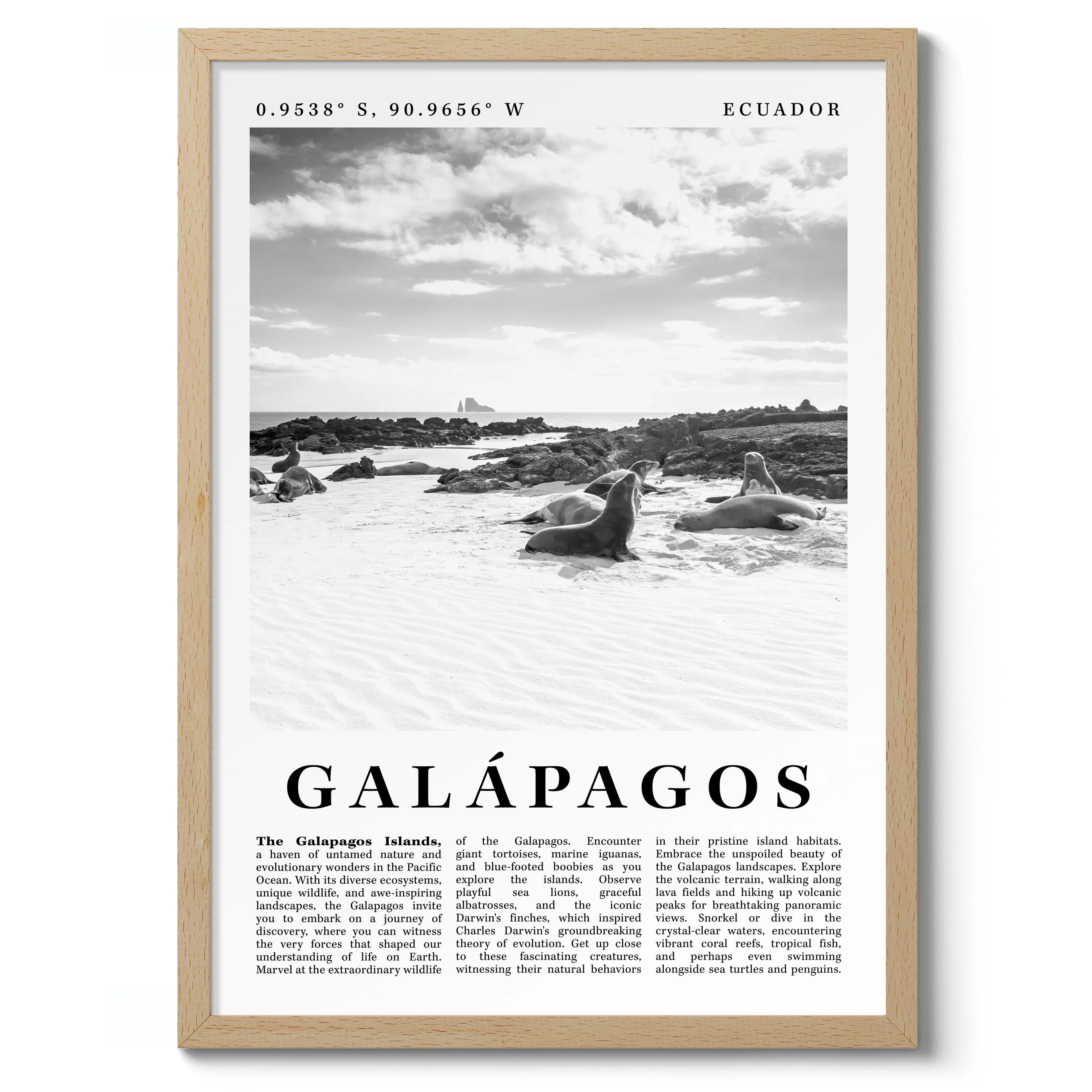Galapagos - Ecuador - Image 3