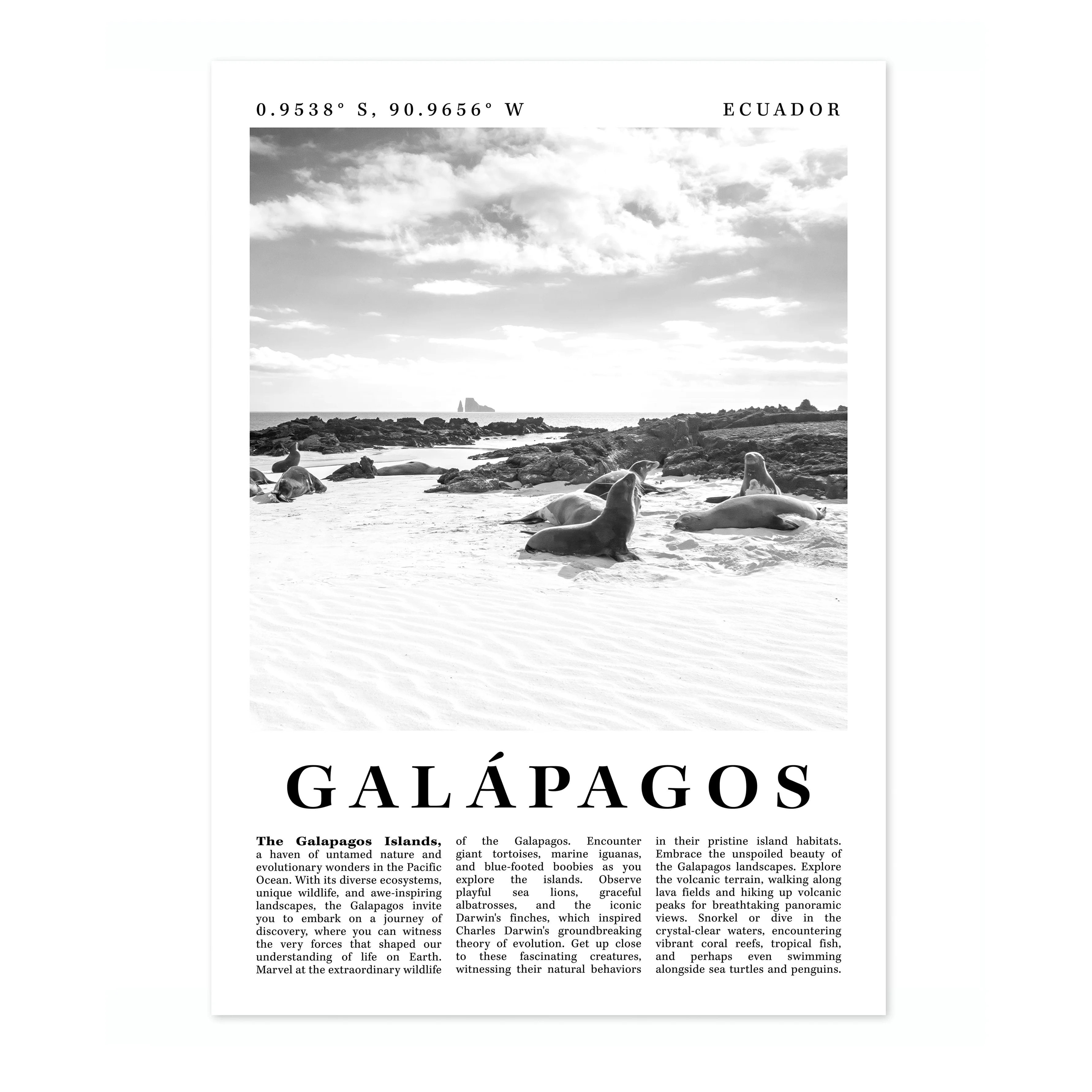 Galapagos - Ecuador - Image 4