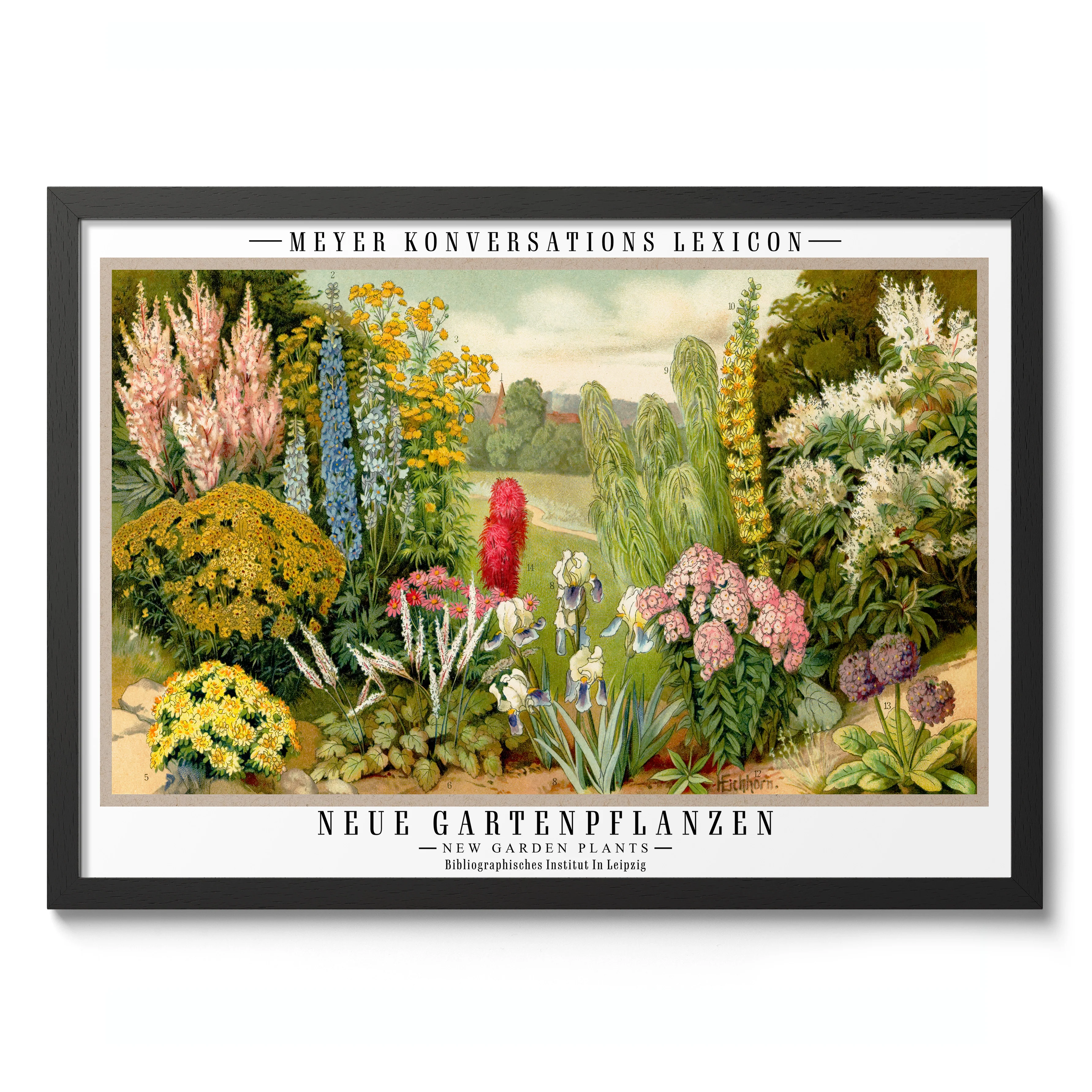 Garden Plants - Image 2