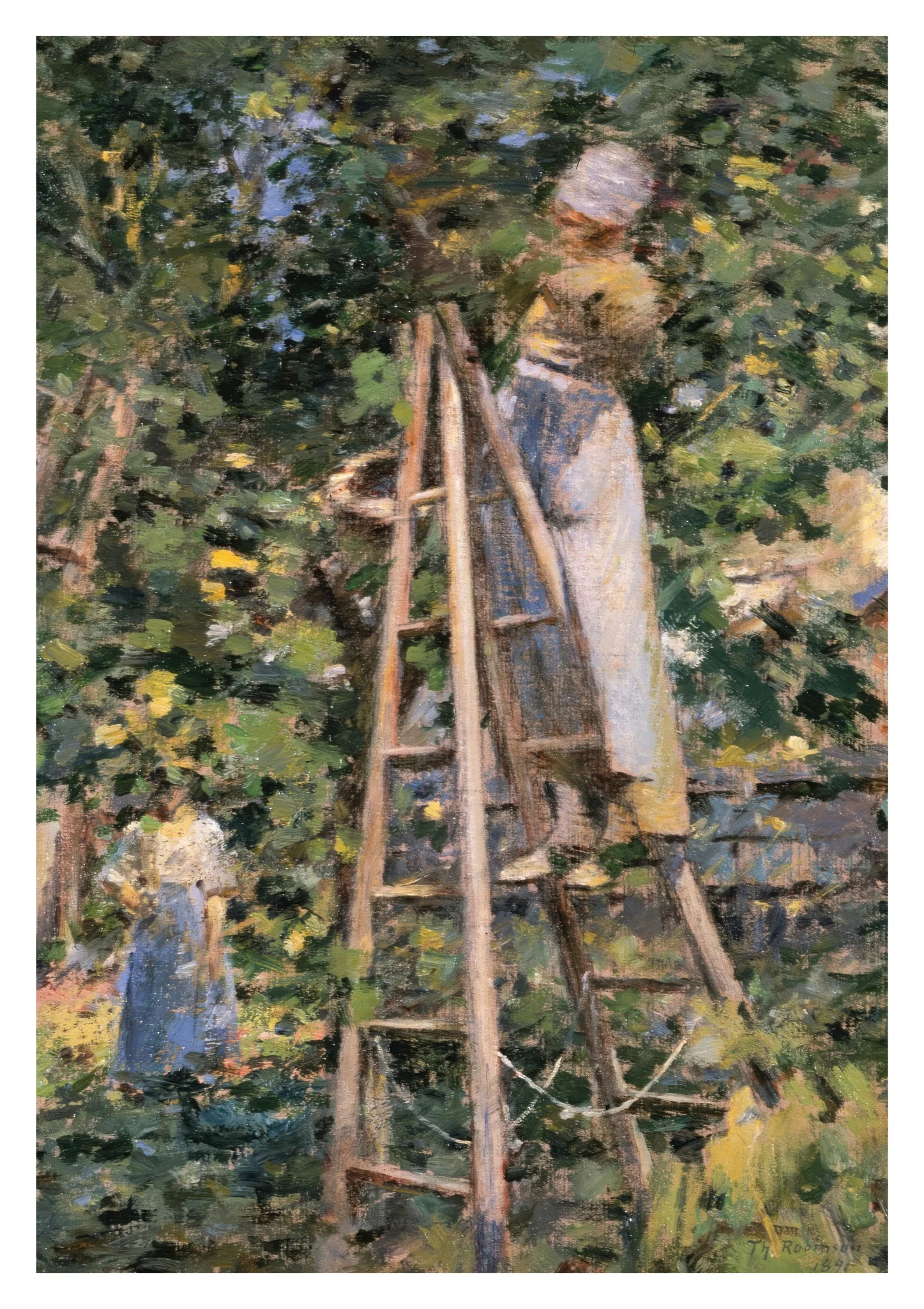 Gathering Plums