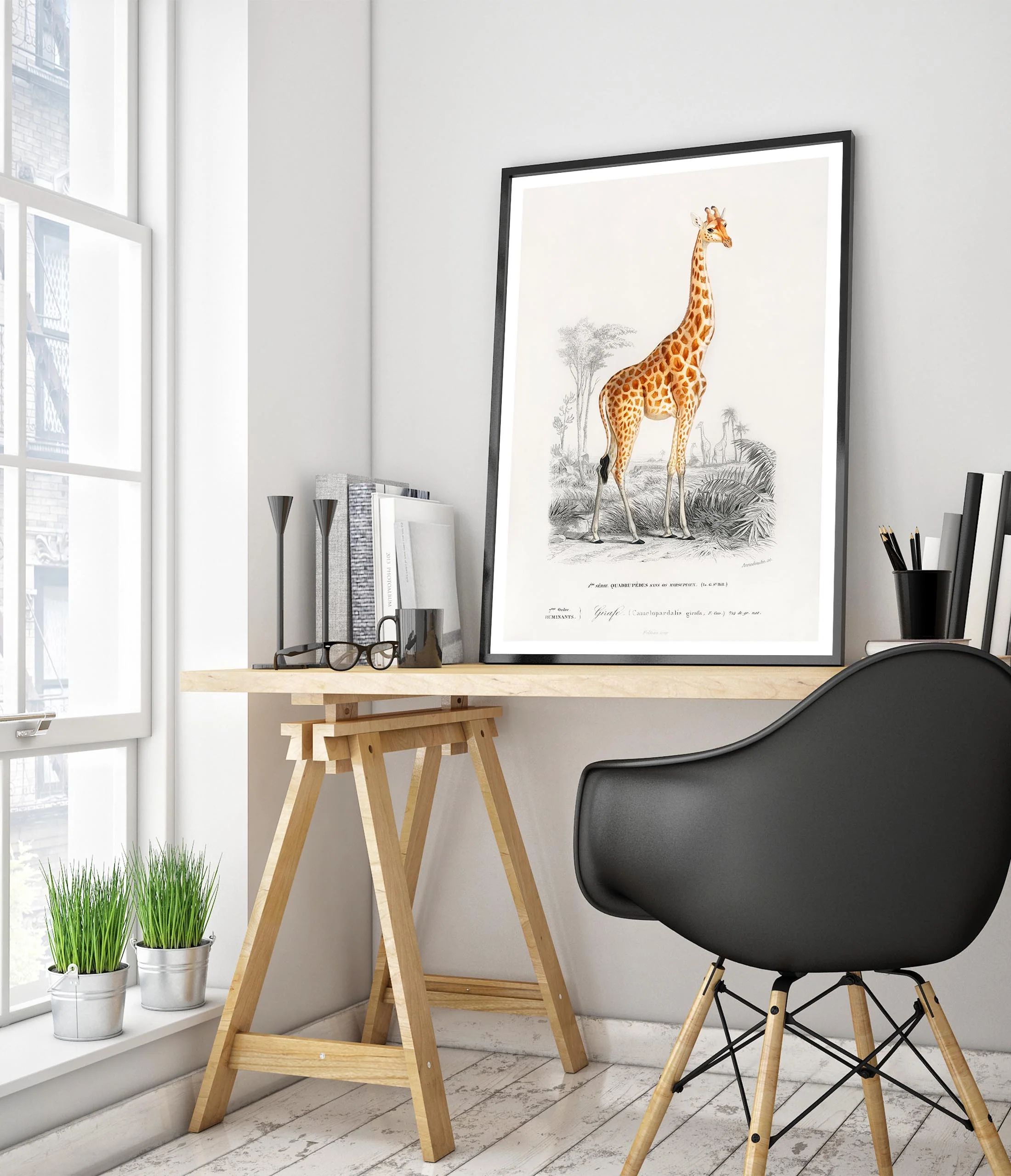 Giraffe - Image 5
