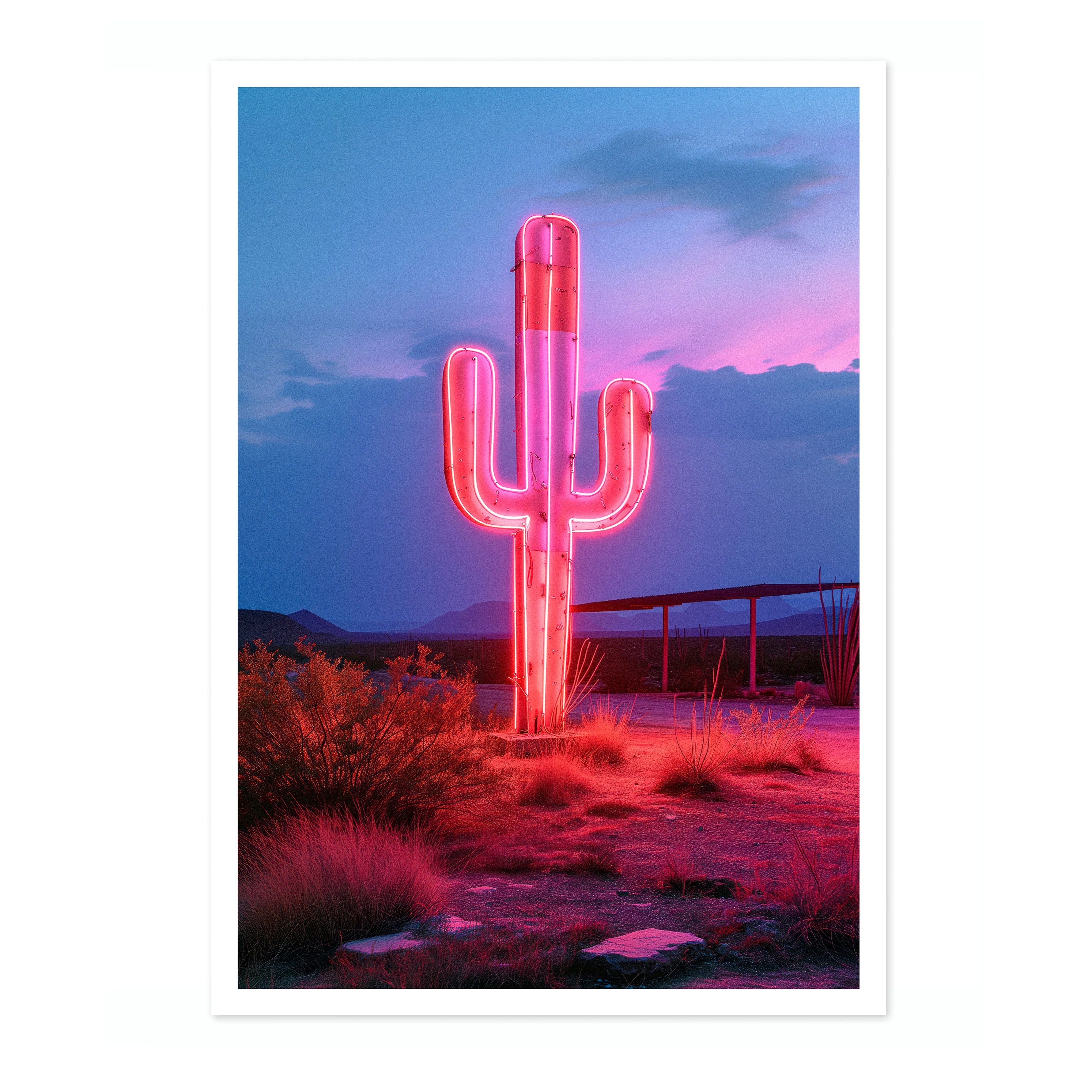 Glowing Cactus - Image 4