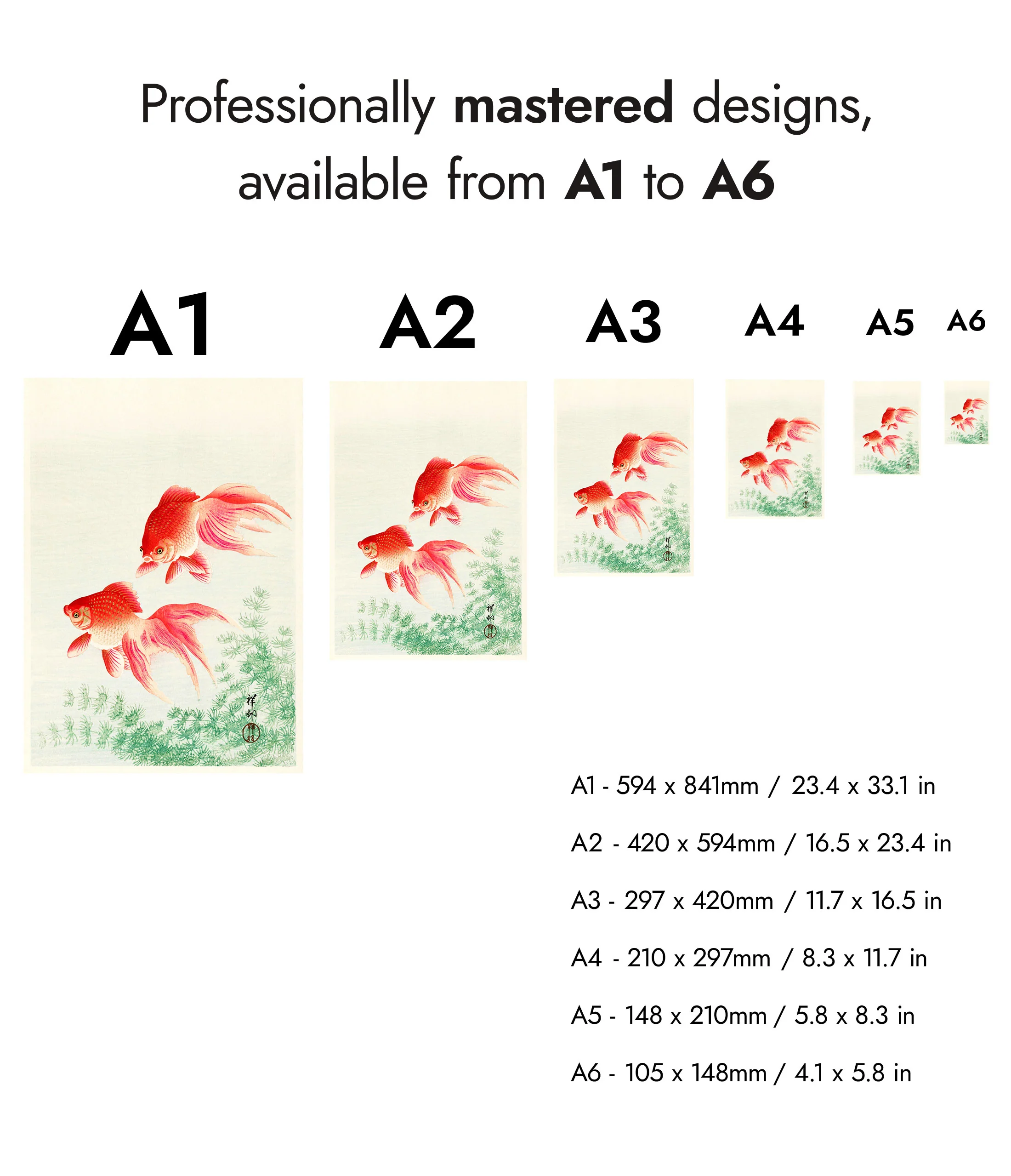 Goldfish - Image 8