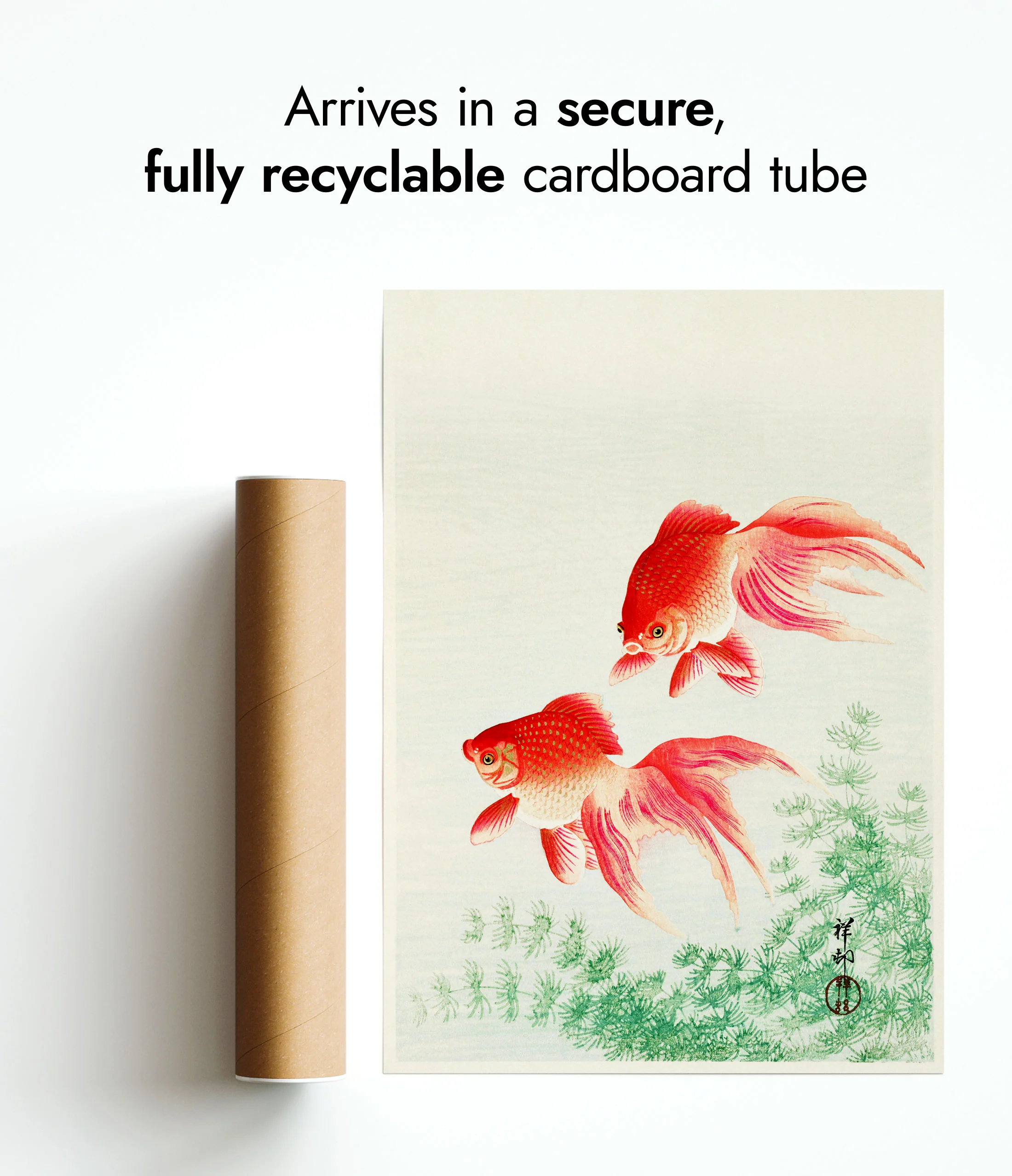Goldfish - Image 9