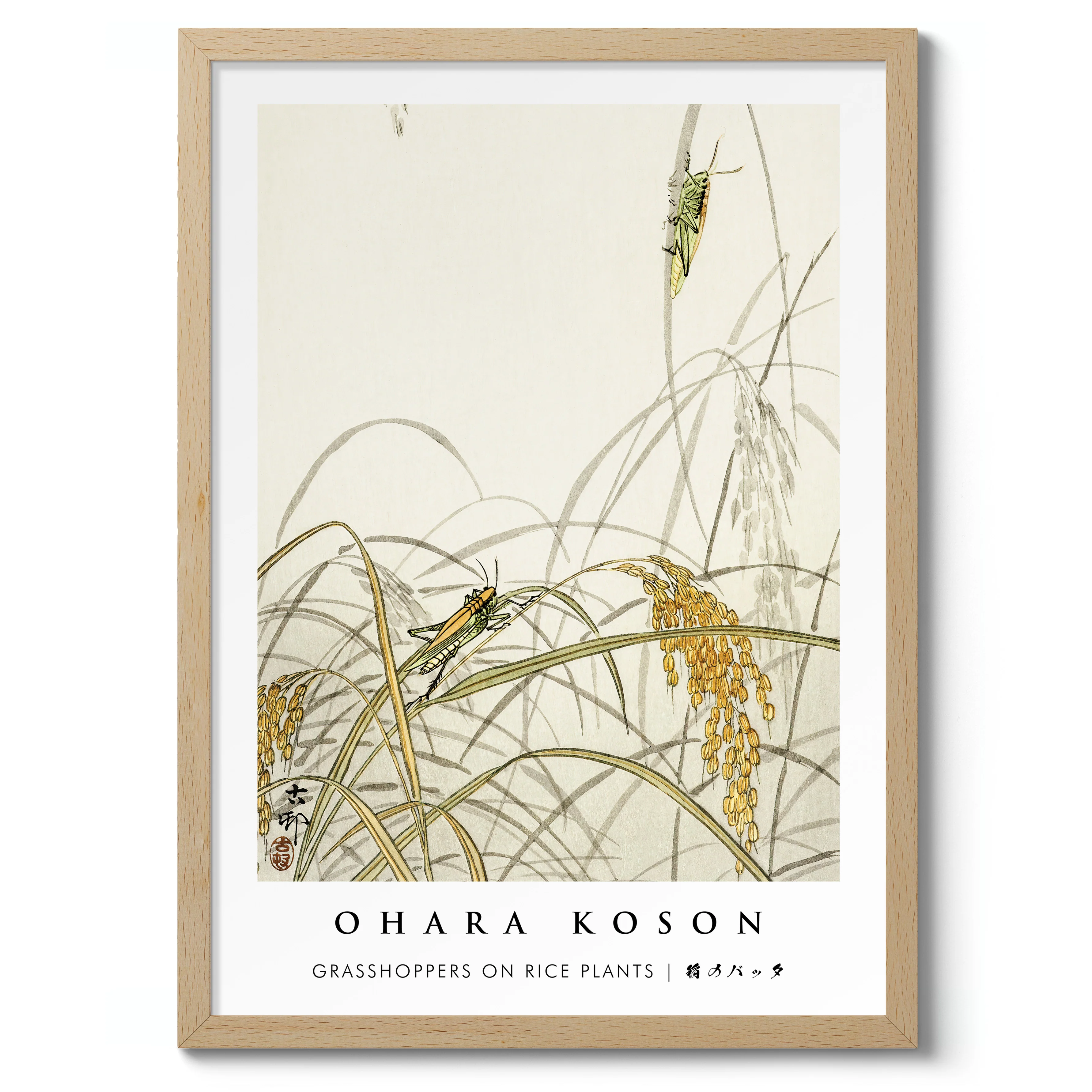 Grasshoppers on Rice Plants - Image 3