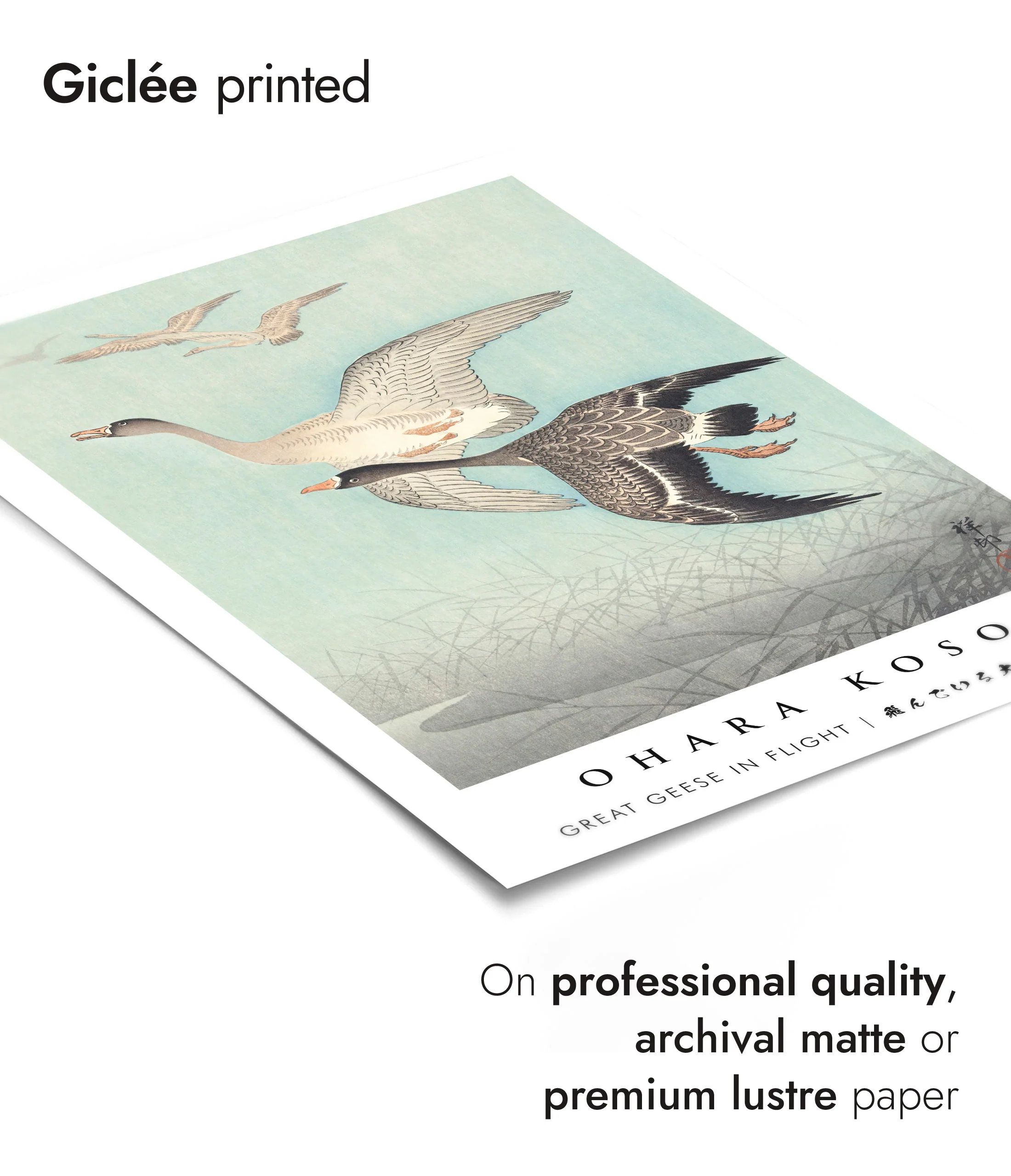 Great Geese in Flight - Image 6