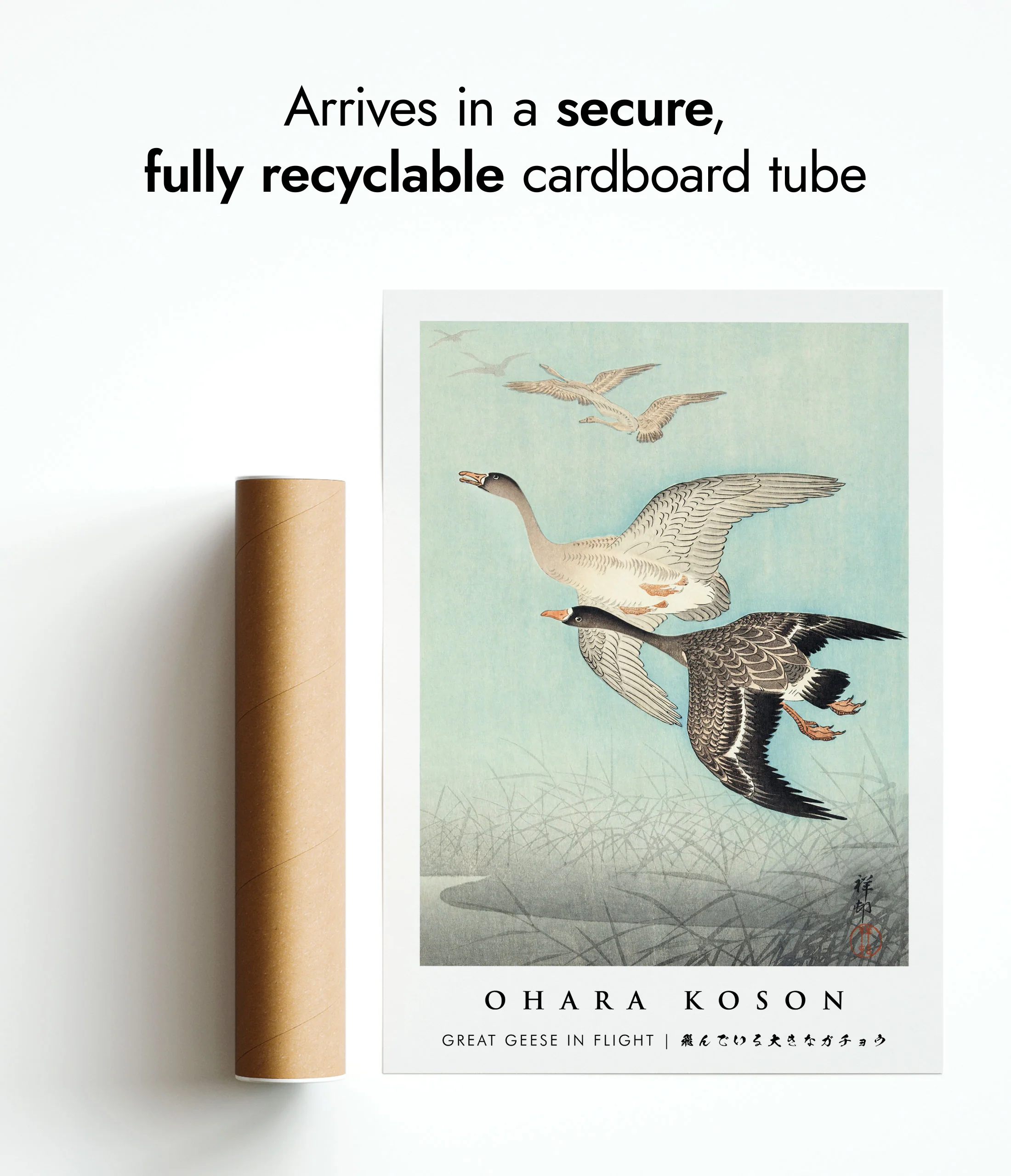 Great Geese in Flight - Image 9