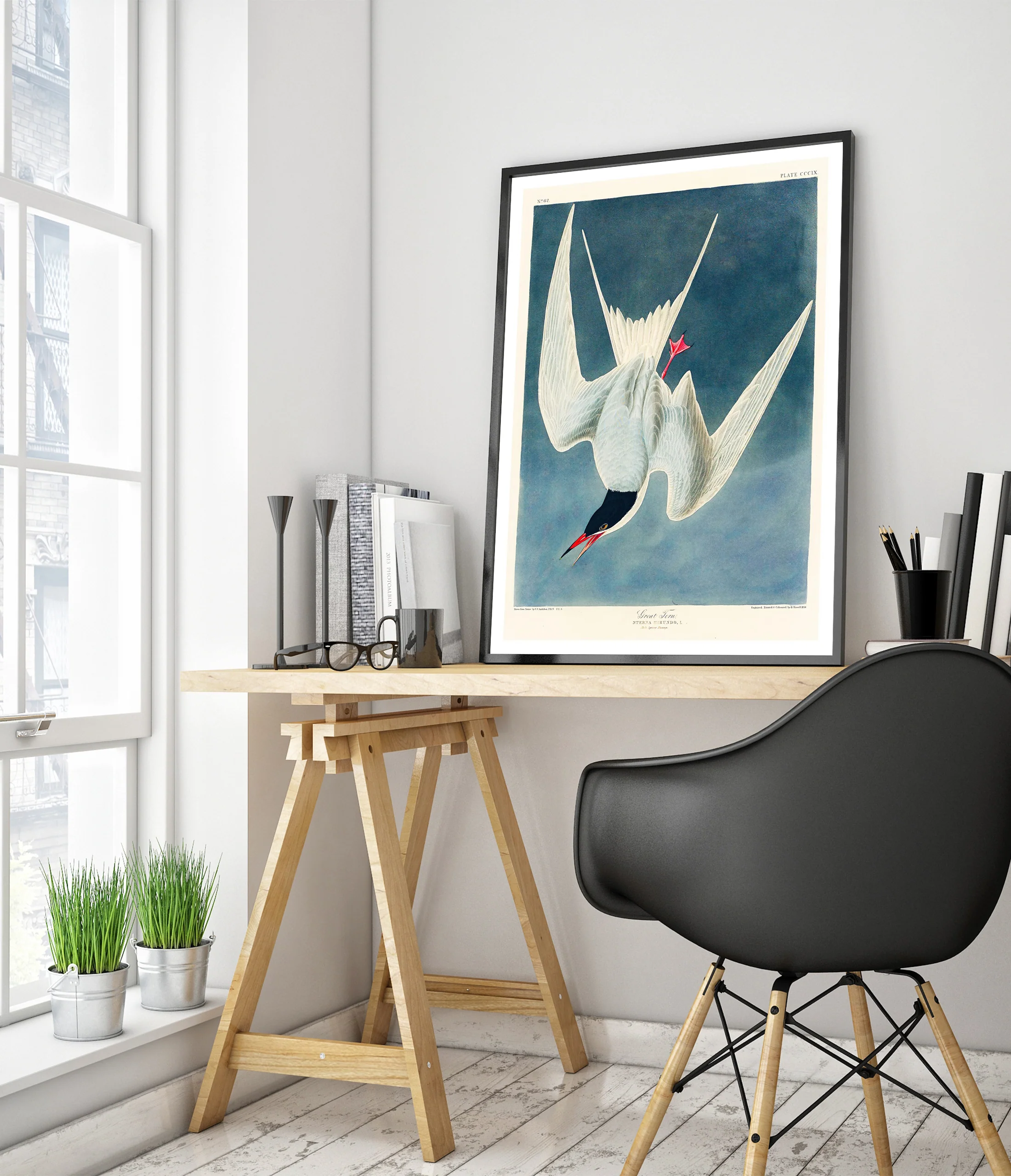 Great Tern - Image 5