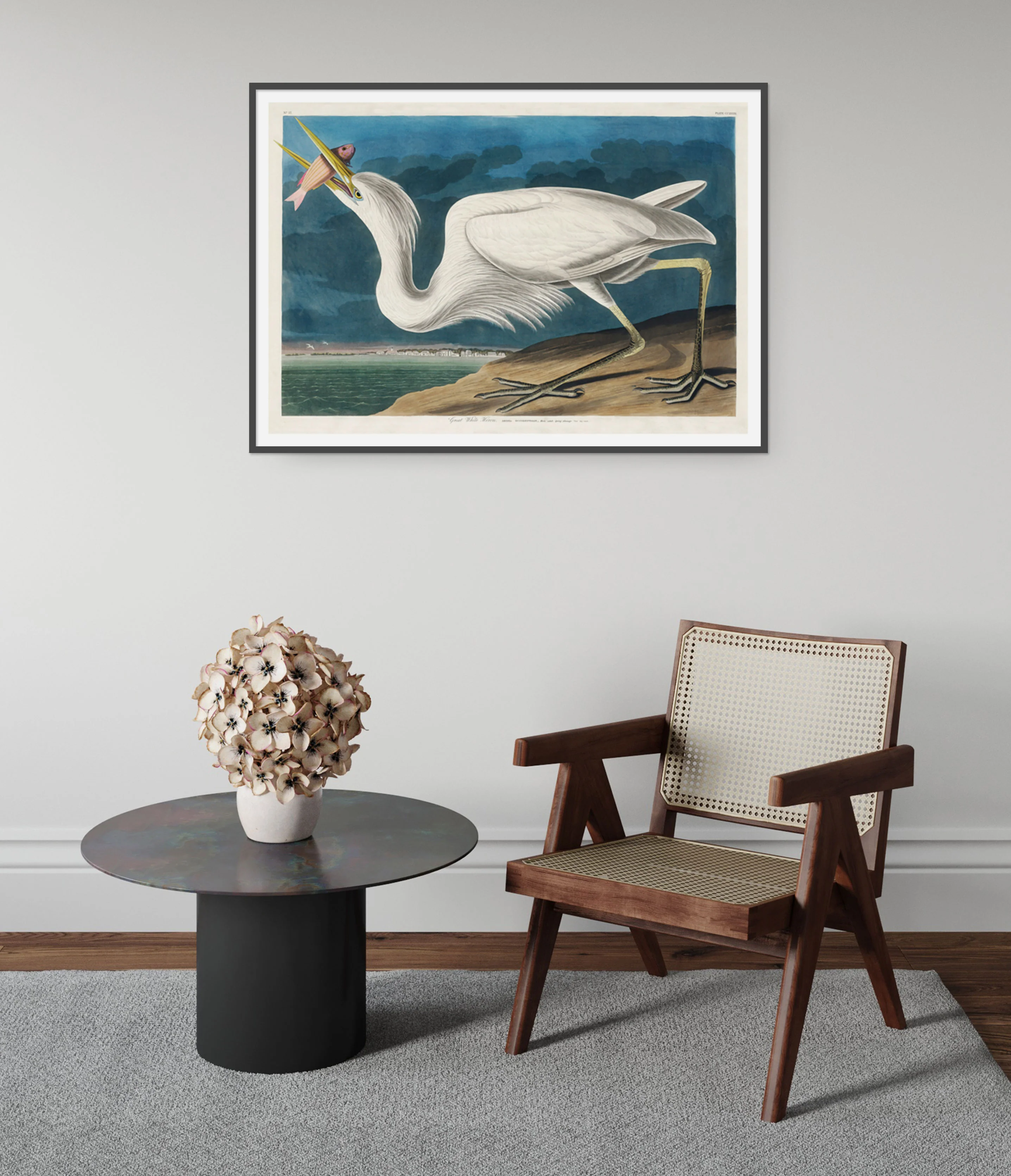 Great White Heron - Image 5
