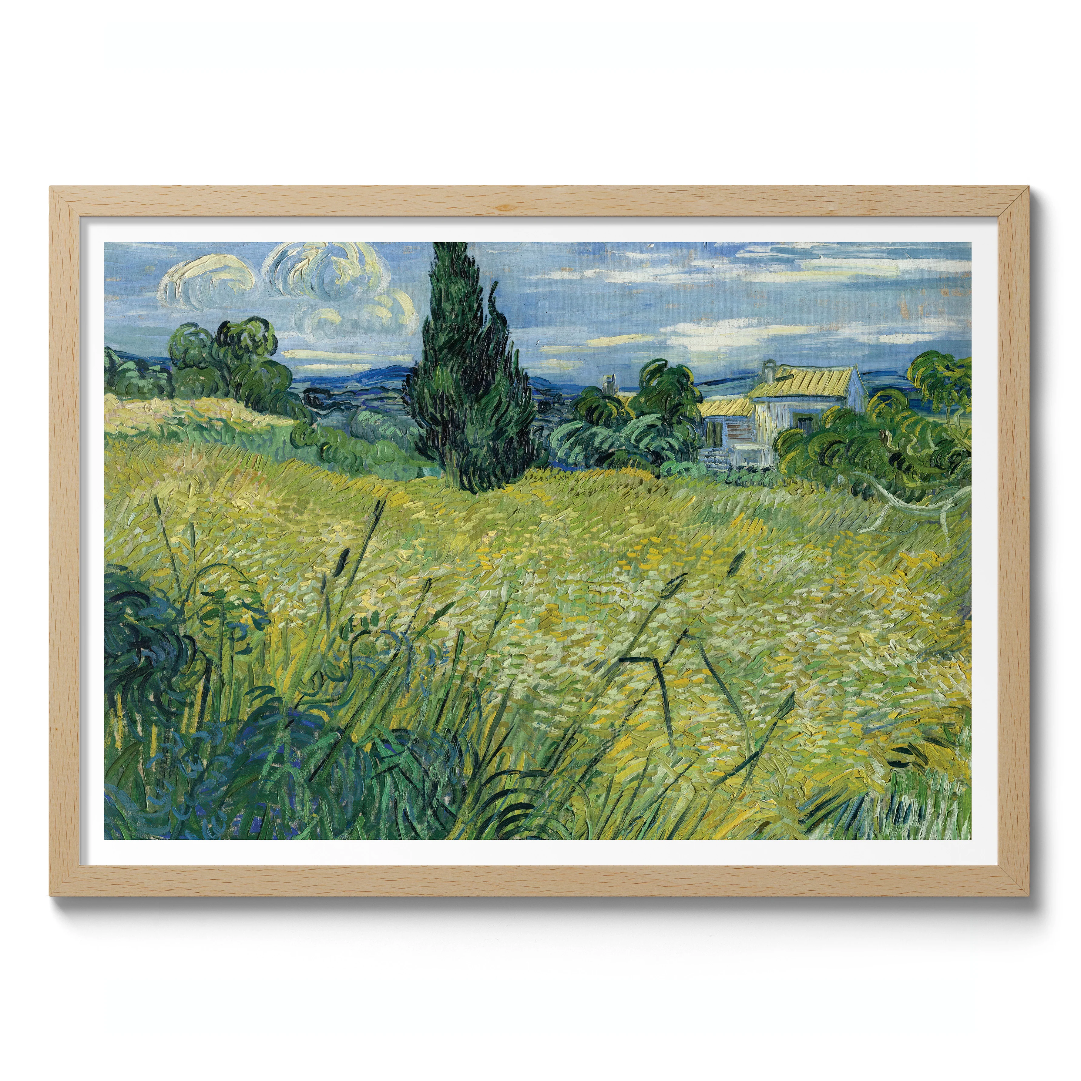 Green Wheat - Image 3
