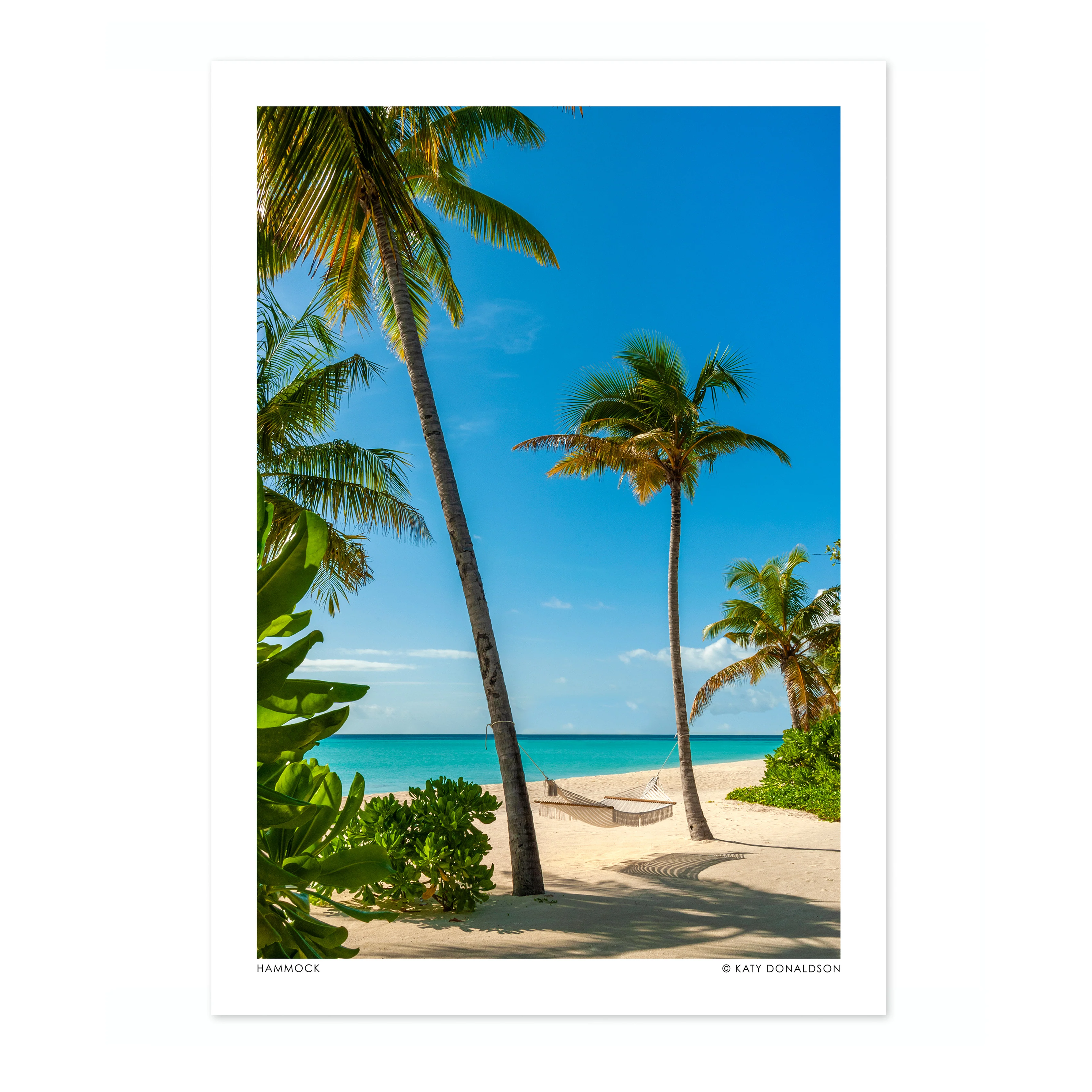 Hammock - Image 4