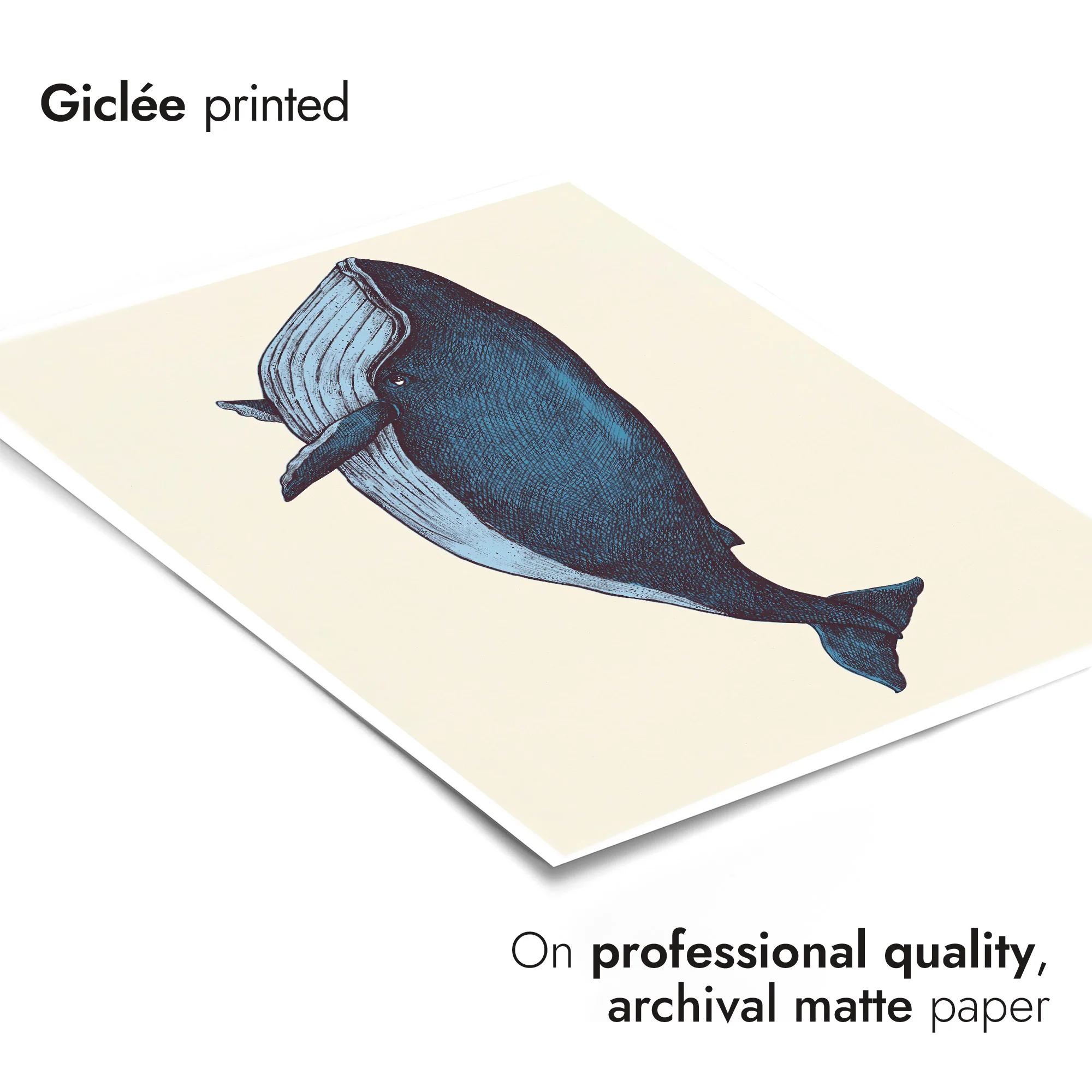Hand-drawn Blue Whale - Image 6